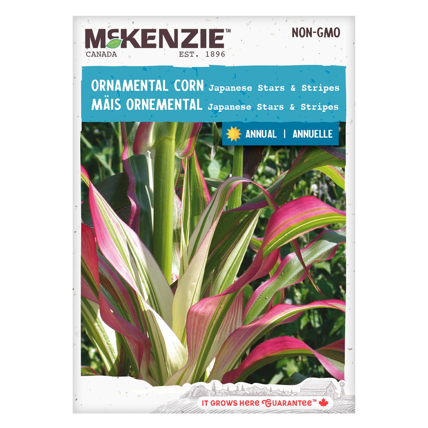 Front of McKenzie Seeds ornamental corn seed packet showing variety name and brand logo