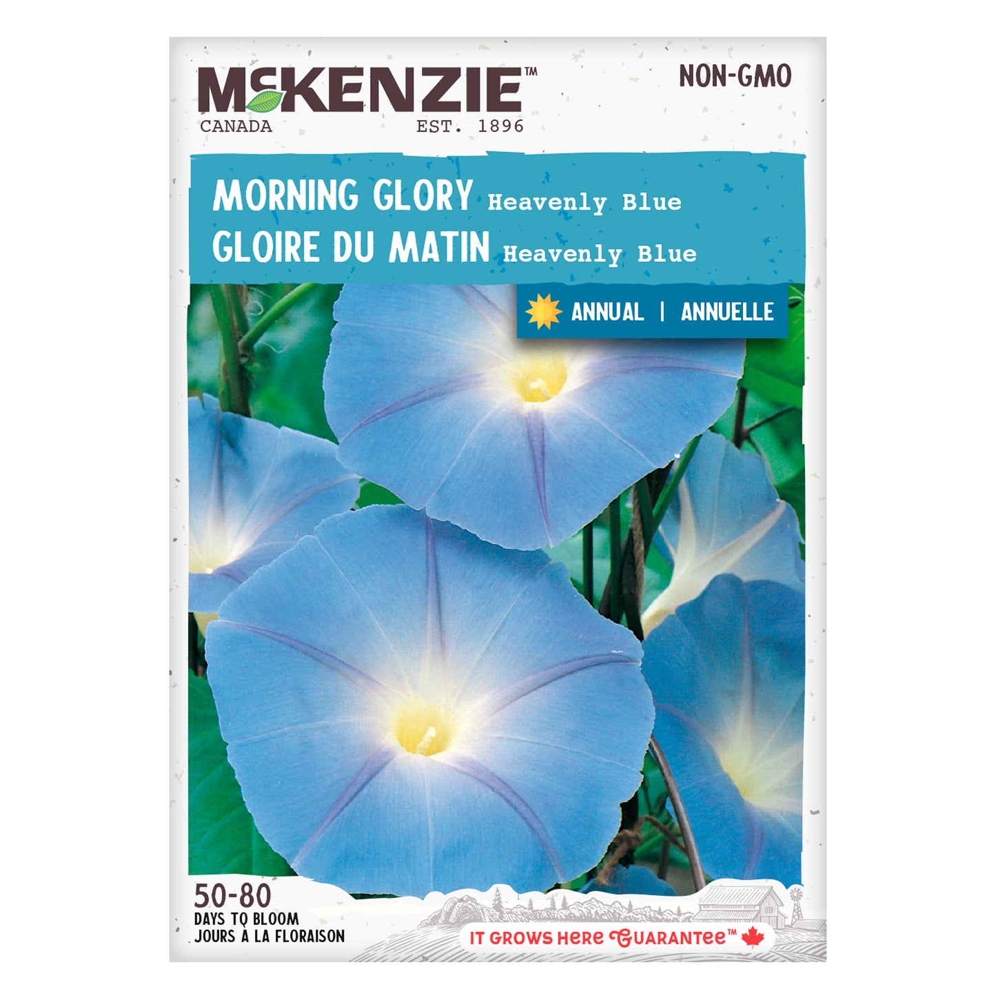Front of McKenzie Seeds Morning Glory seed packet showing brand logo