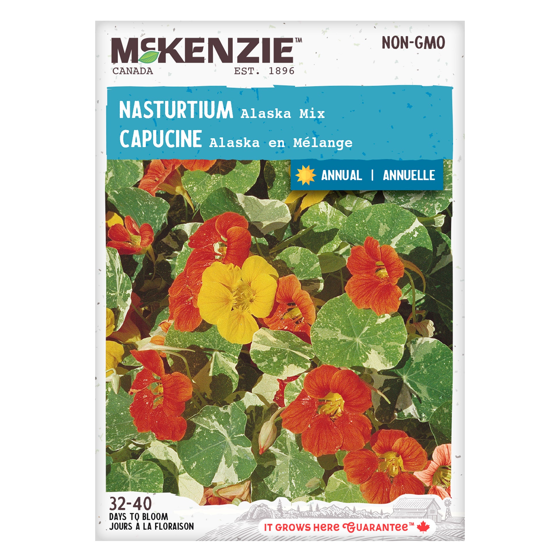 alaska flower seeds Buy Nasturtium Alaska Mix Flower Seed Online