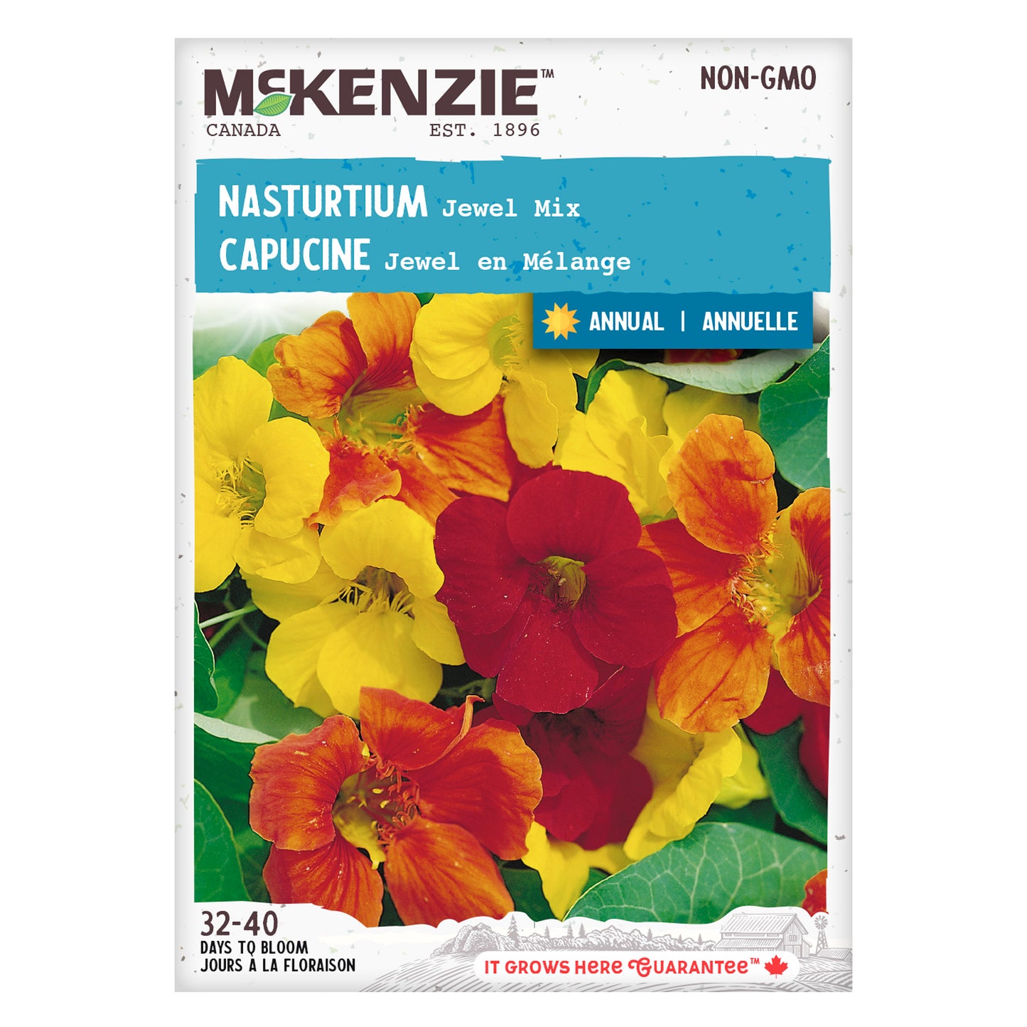 Nasturtium Seeds, Jewel Mixed