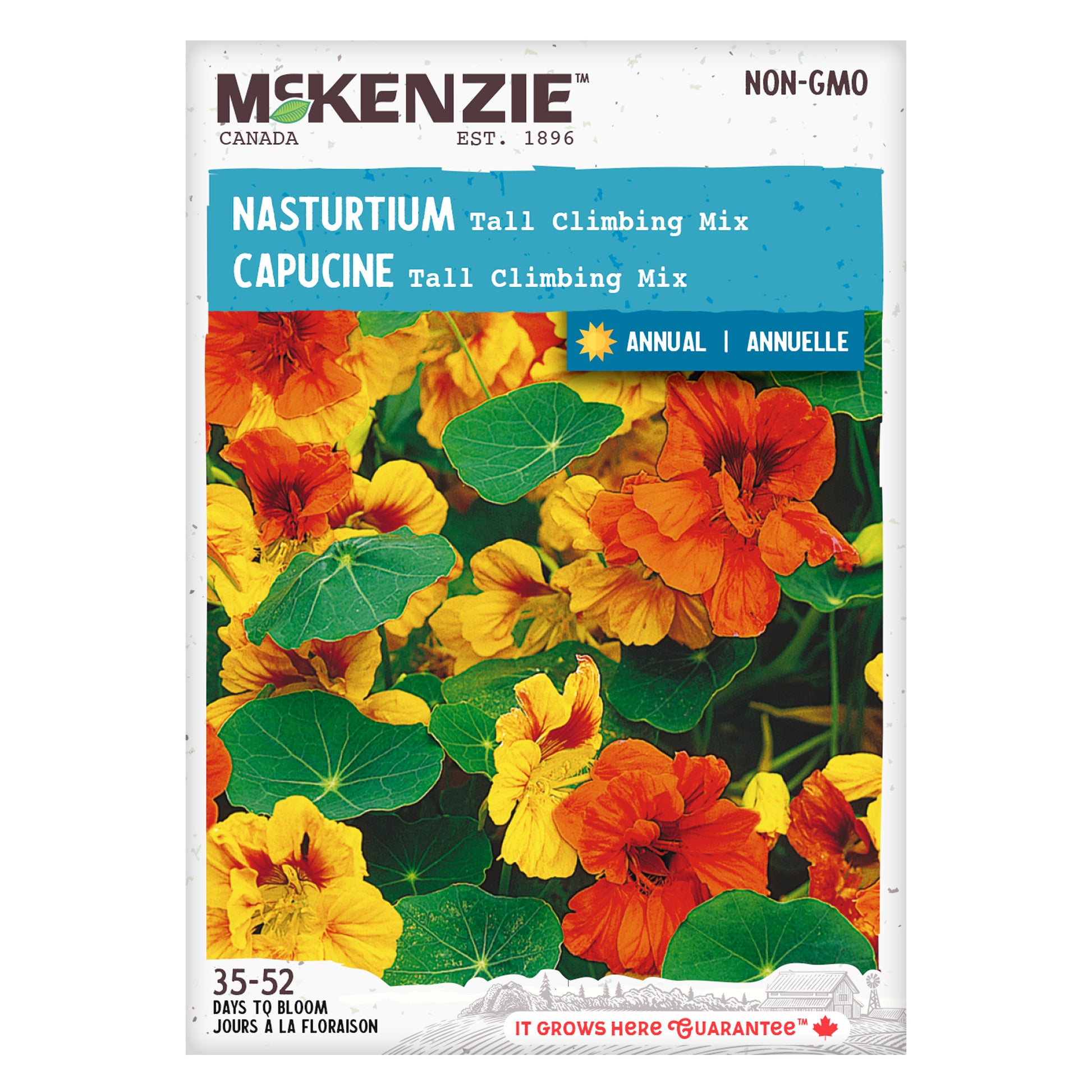 nasturtium flower seeds for sale Buy Nasturtium Tall Climbing Mix Seed Online