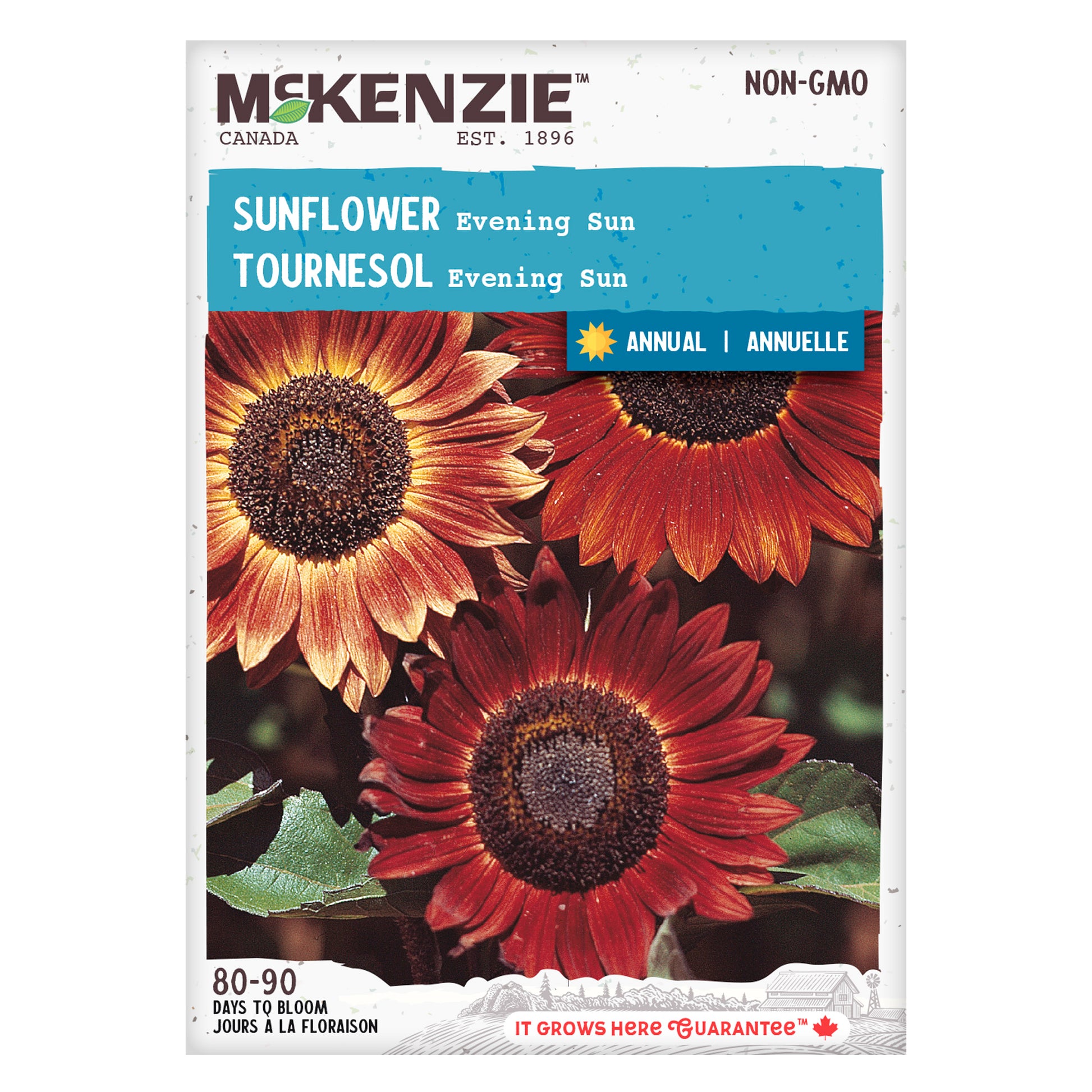 Mckenzie brand sunflower seed packet