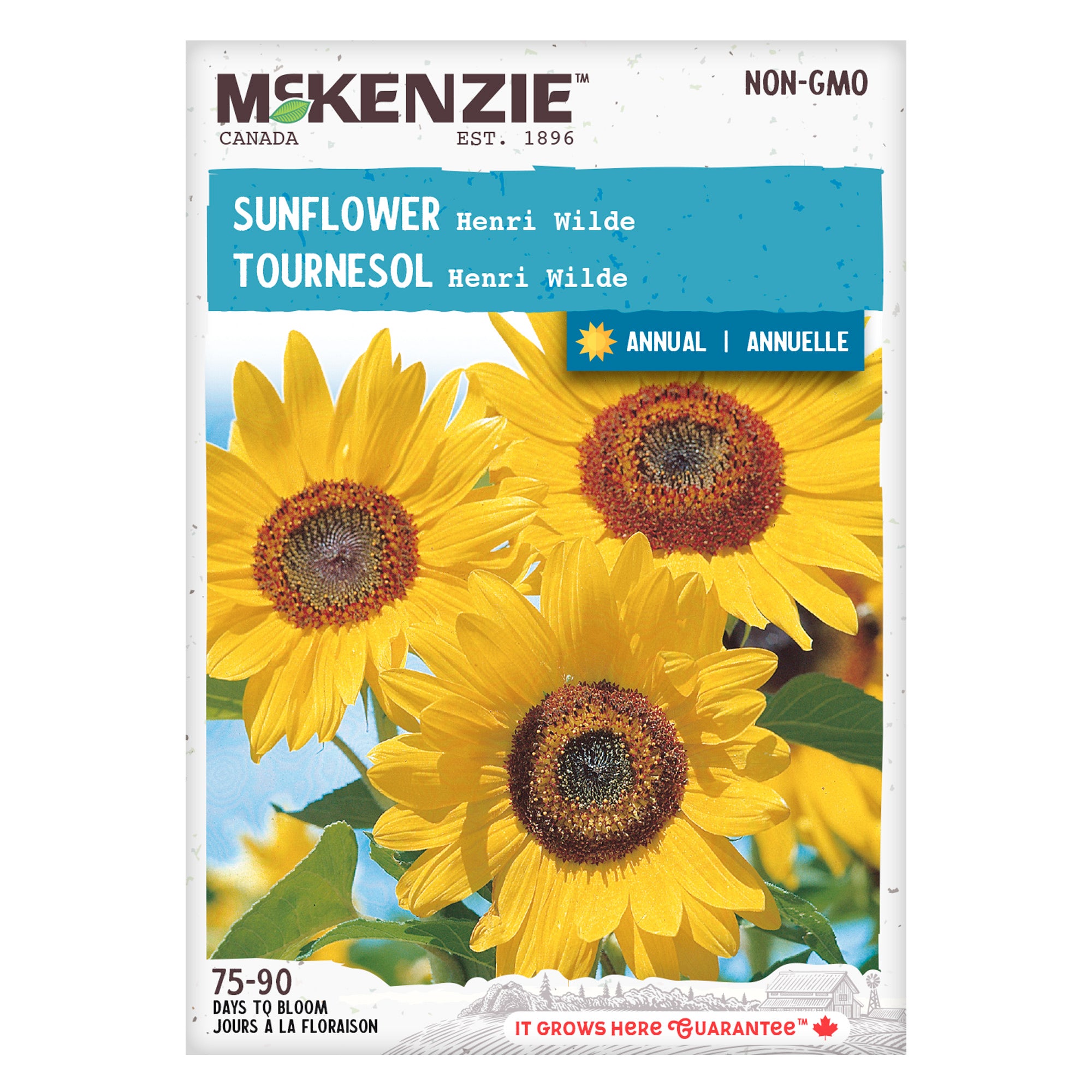 Buy Sunflower Henri Wilde Flower Seed | McKenzie Seeds