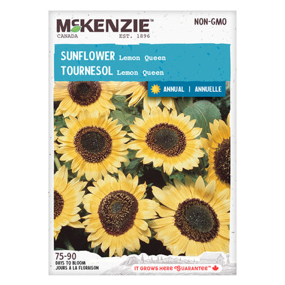 Sunflower, Lemon Queen Seeds