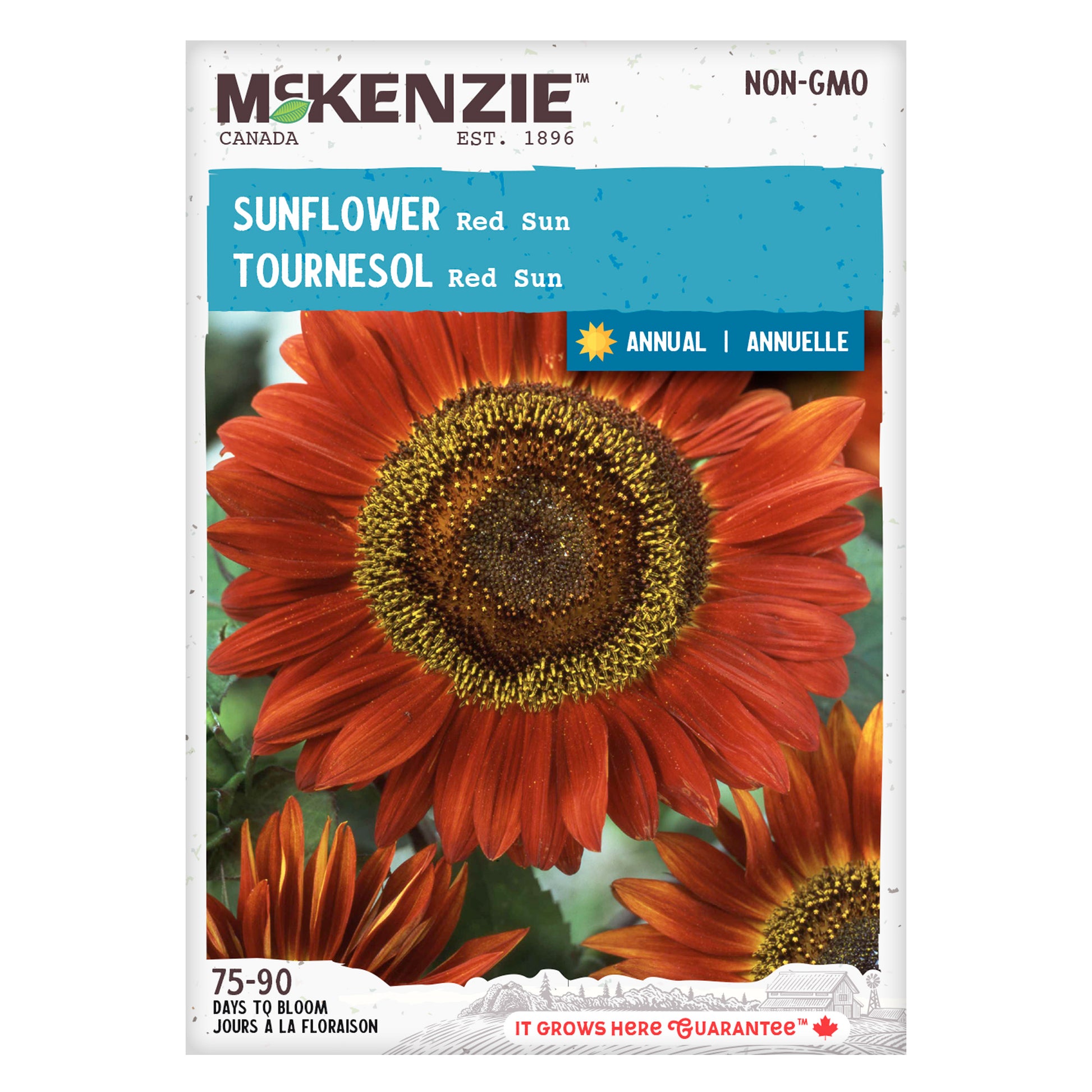Mckenzie brand sunflower seed packet