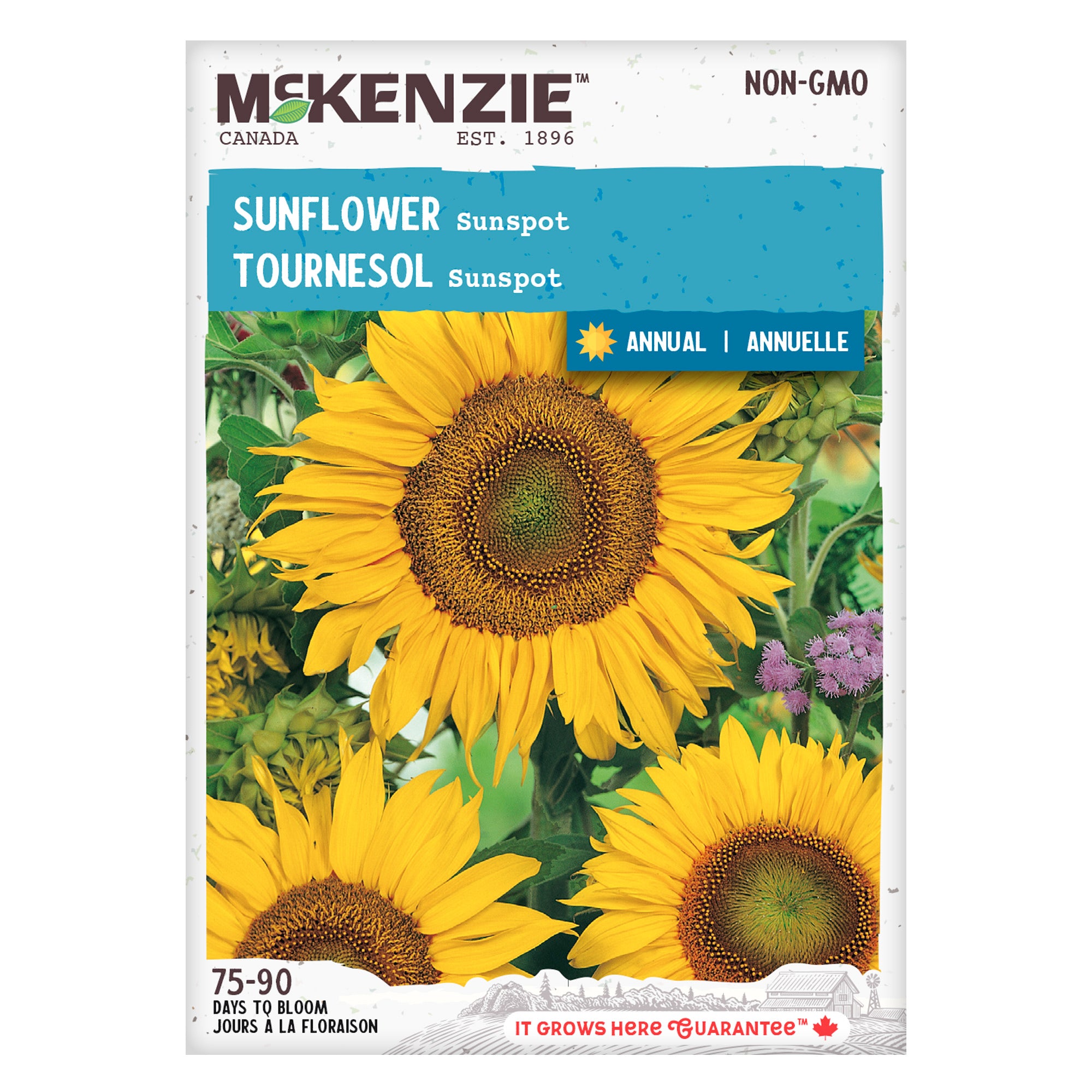Buy Sunflower Sunspot Flower Seed | McKenzie Seeds