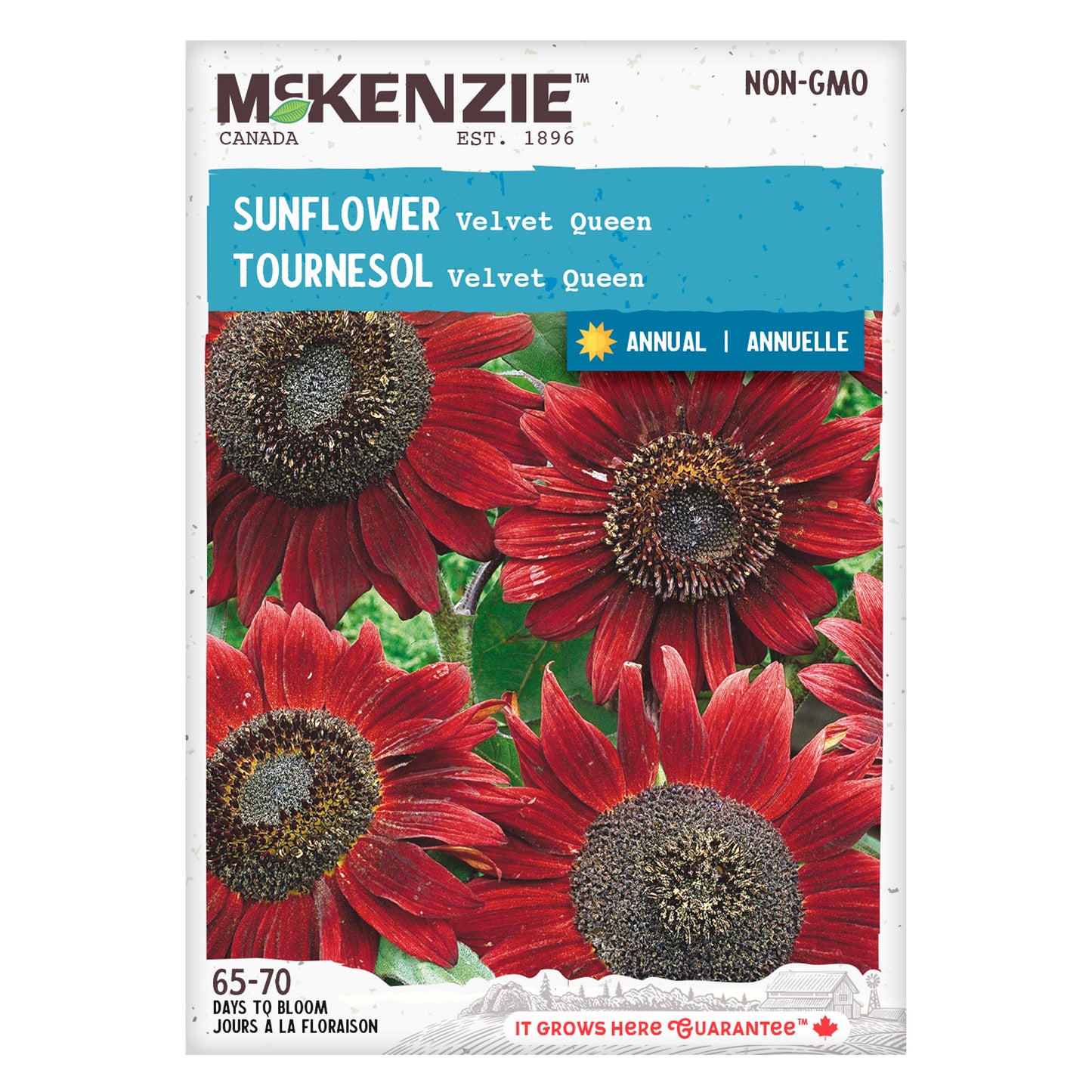 Mckenzie brand sunflower seed packet