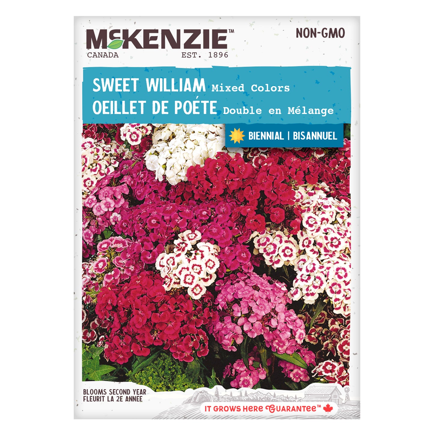 Mckenzie brand sweet william seed packet
