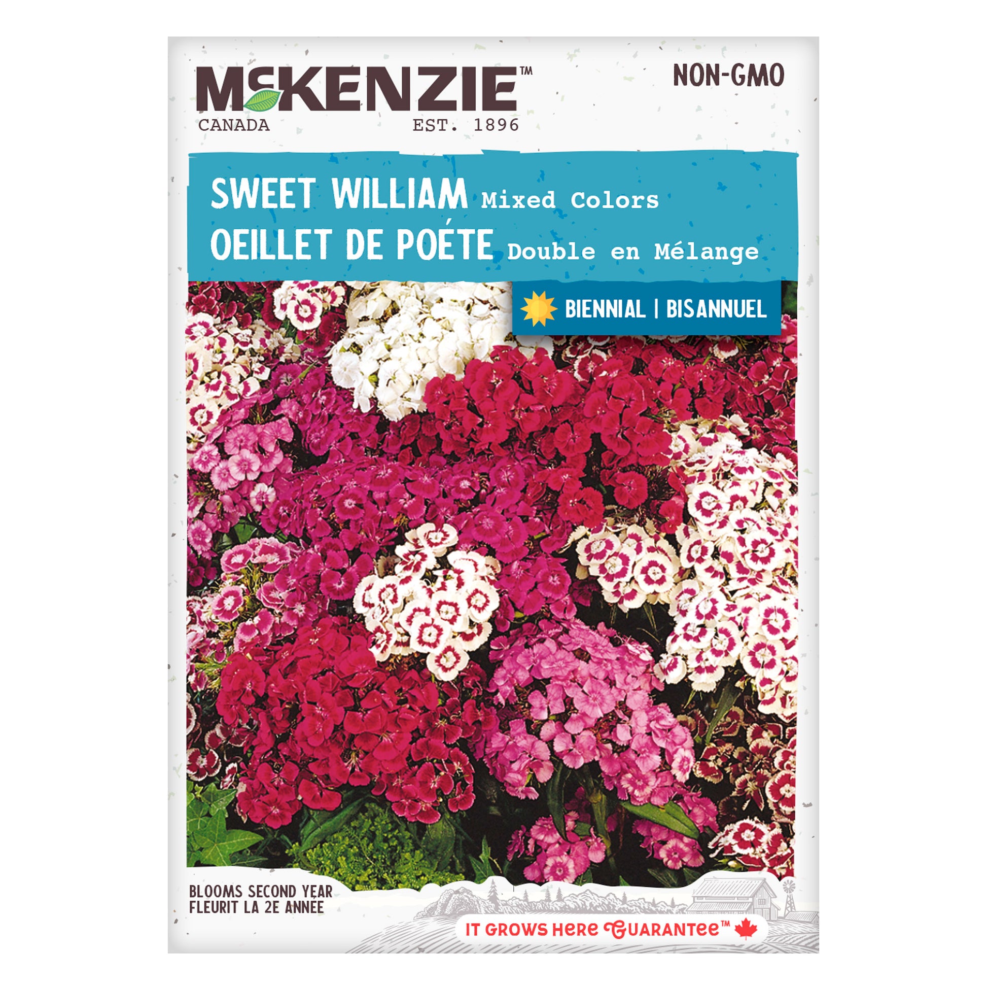 Mckenzie brand sweet william seed packet