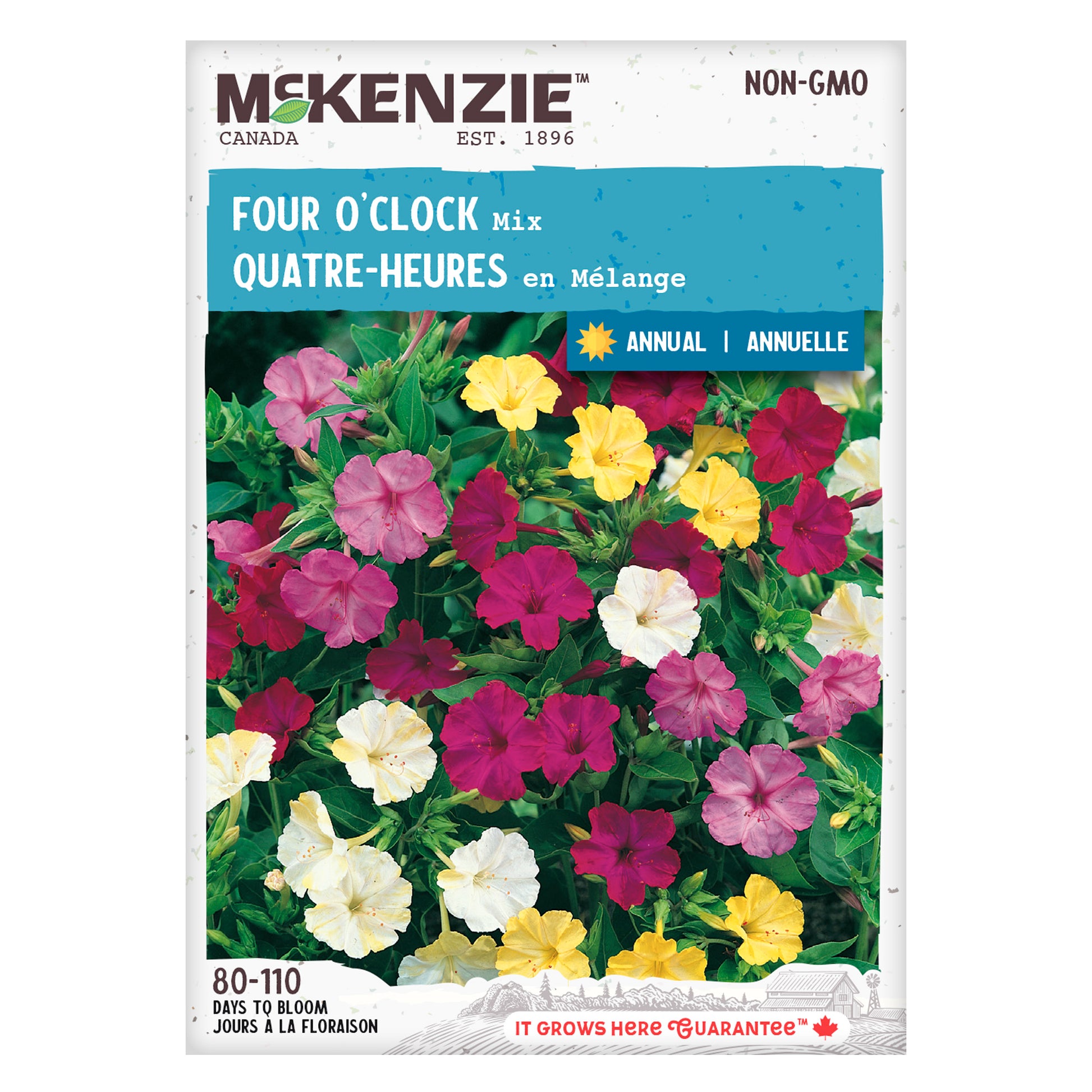 planting 4 o'clock flower seeds Buy Four O'Clock Mixed Colors Flower Seed Online