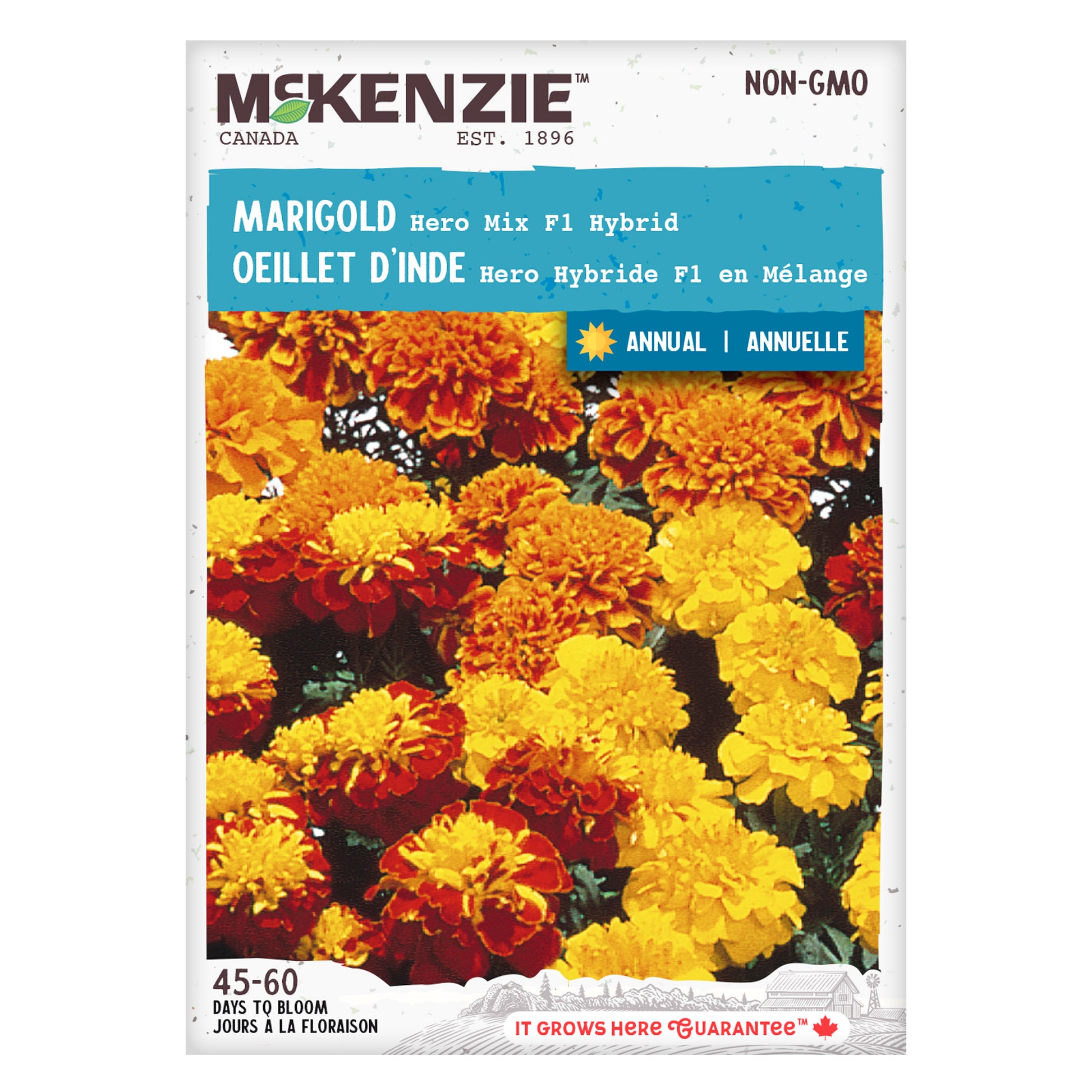 Front of McKenzie Seeds Marigold seed packet showing brand logo