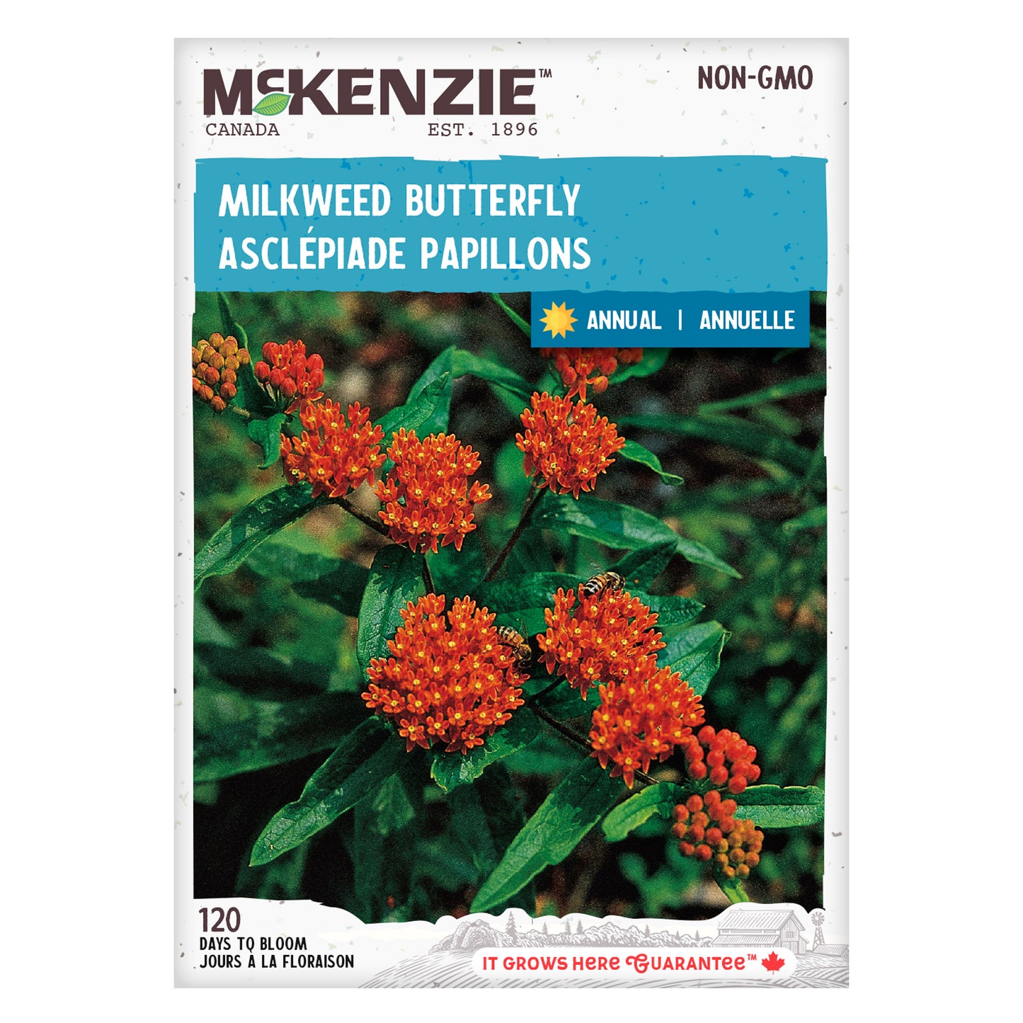 Milkweed Seeds, Butterfly