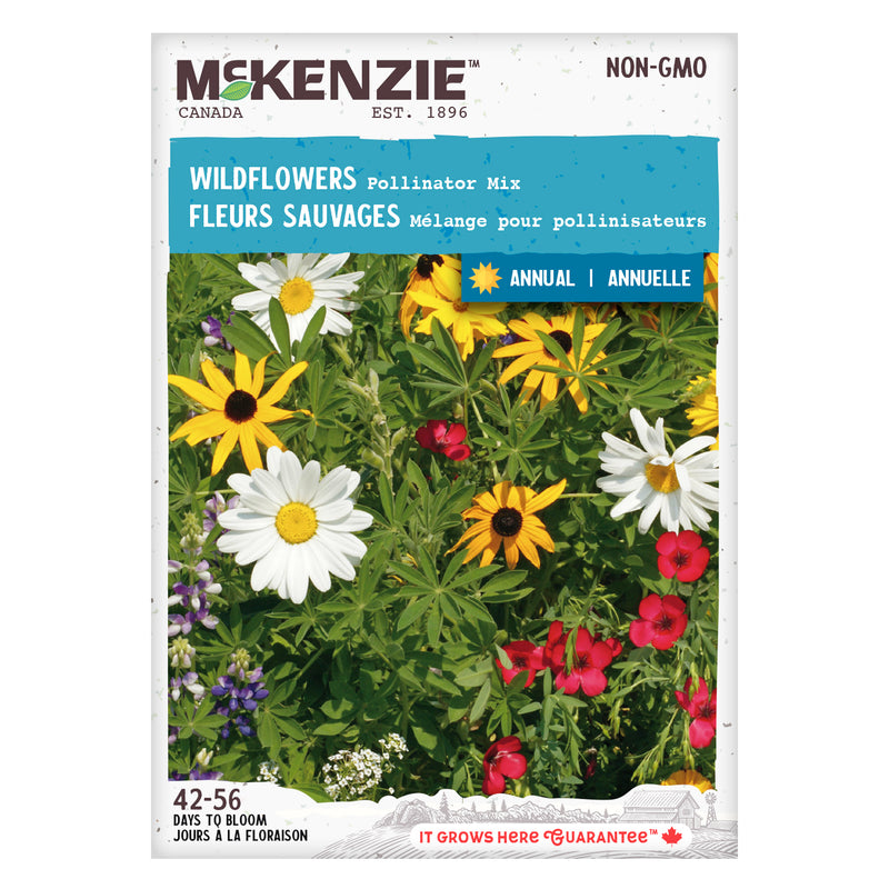 Wildflower Seeds, Pollinator Mix – McKenzie Seeds