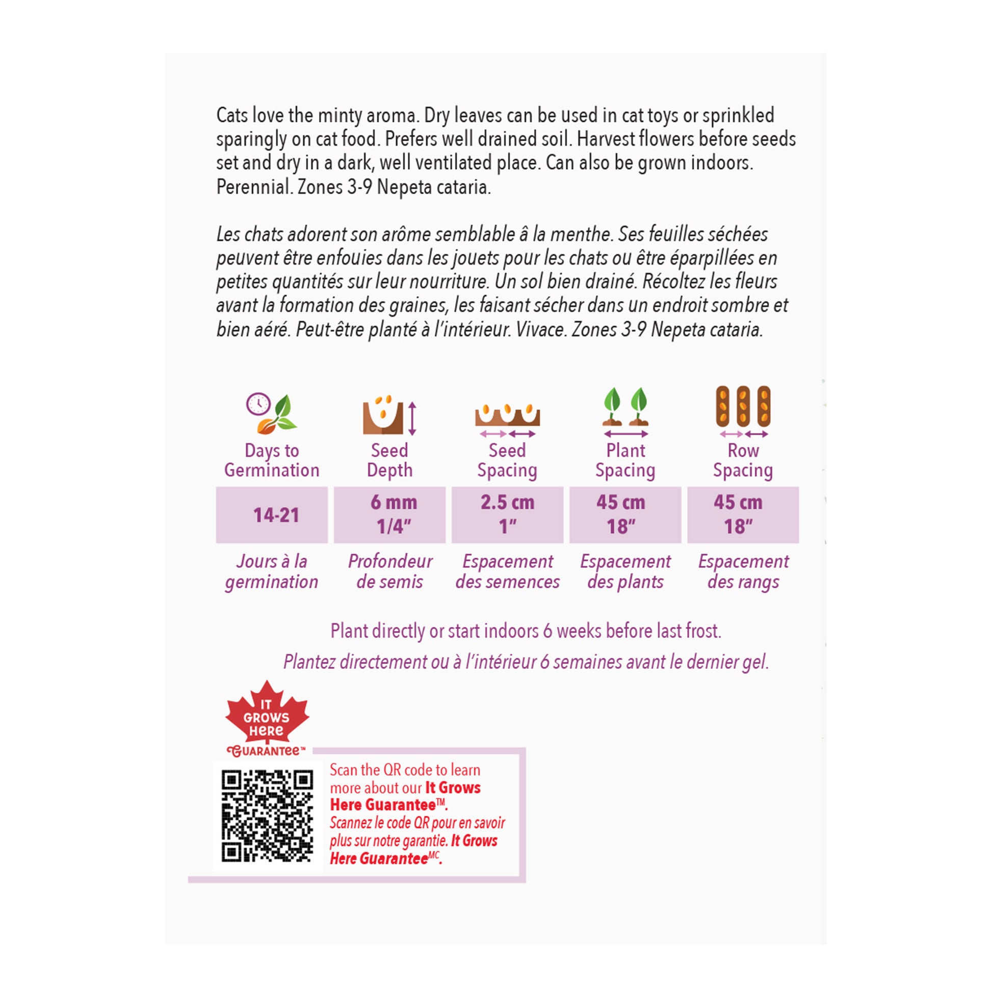 catnip seeds planting instructions Catnip Seeds – Grow Fresh Catnip for Your Pets and Garden – McKenzie Seeds