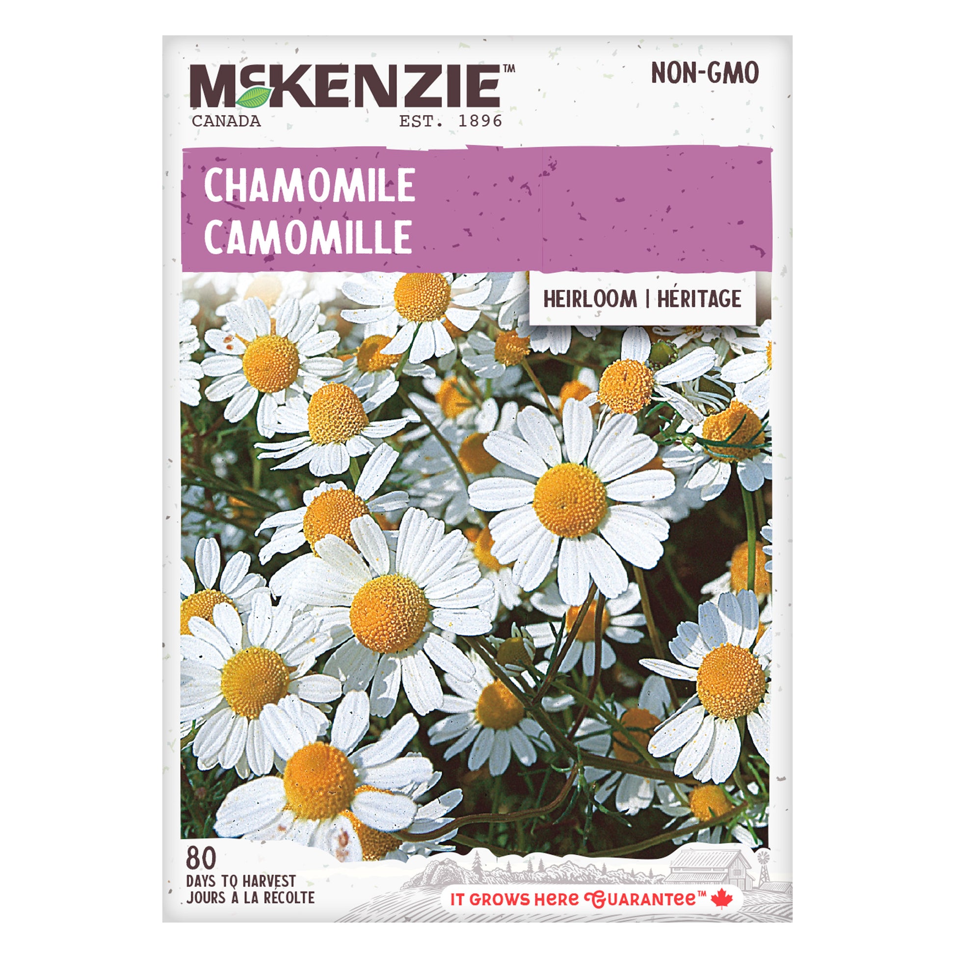 chamomile seeds for planting Buy Chamomile Herb Seed Online