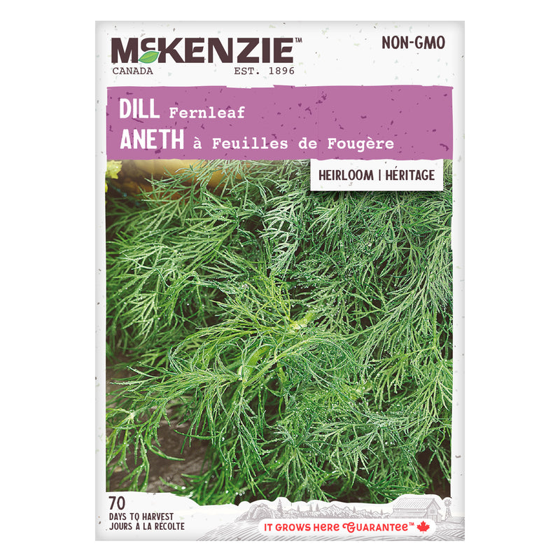 Dill Seeds, Fernleaf McKenzie Seeds