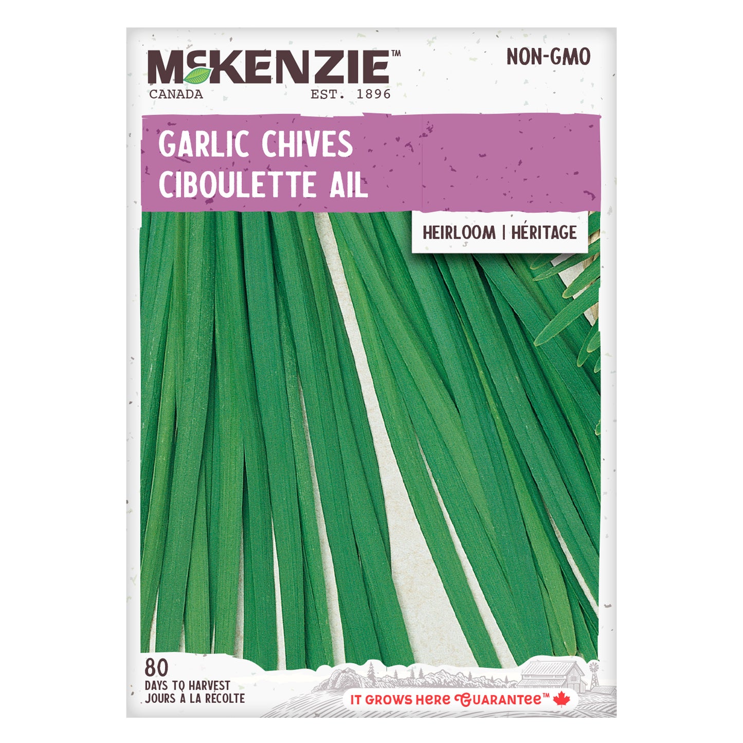 Chives Seeds, Garlic