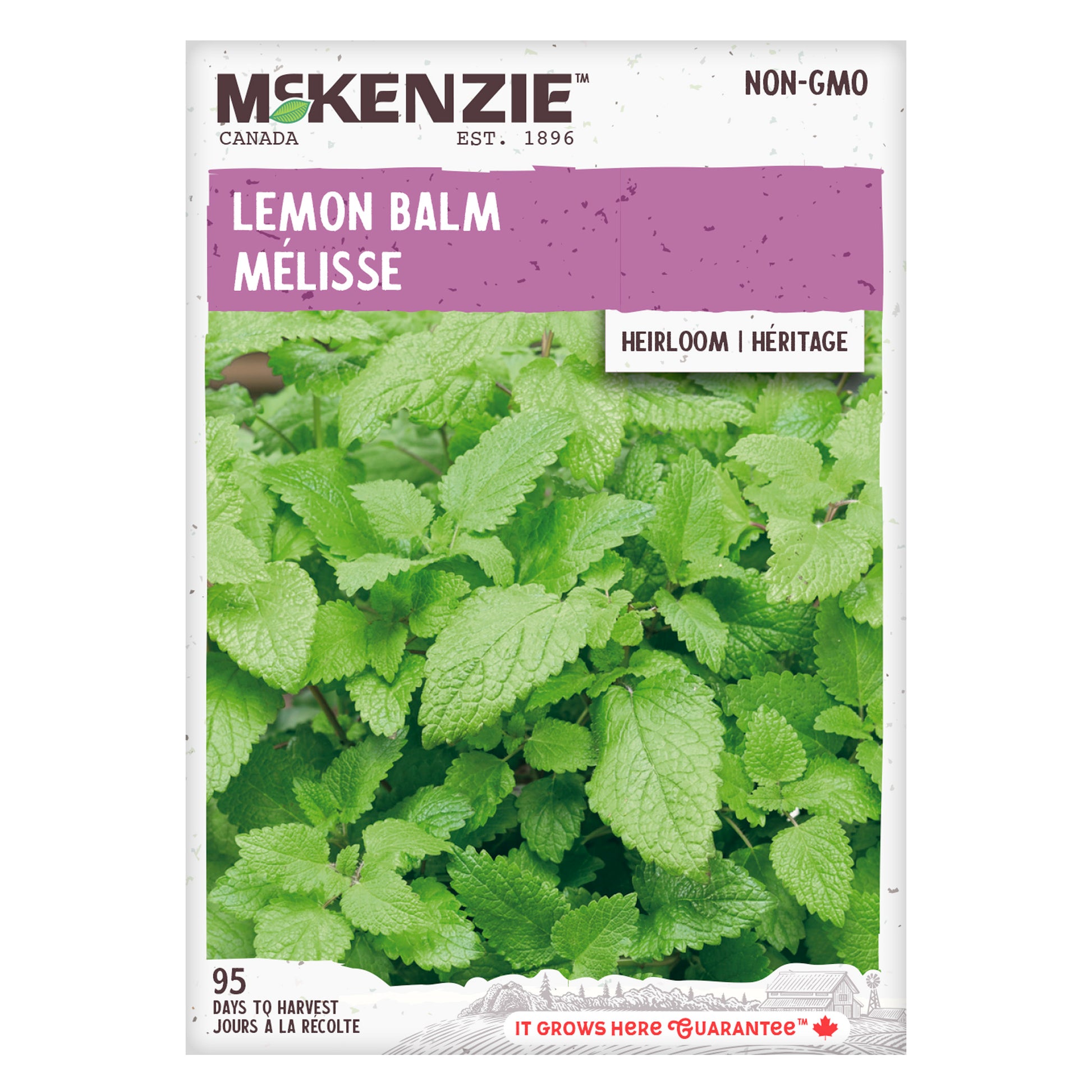 Buy Lemon Balm Herb Seed Online | McKenzie Seeds