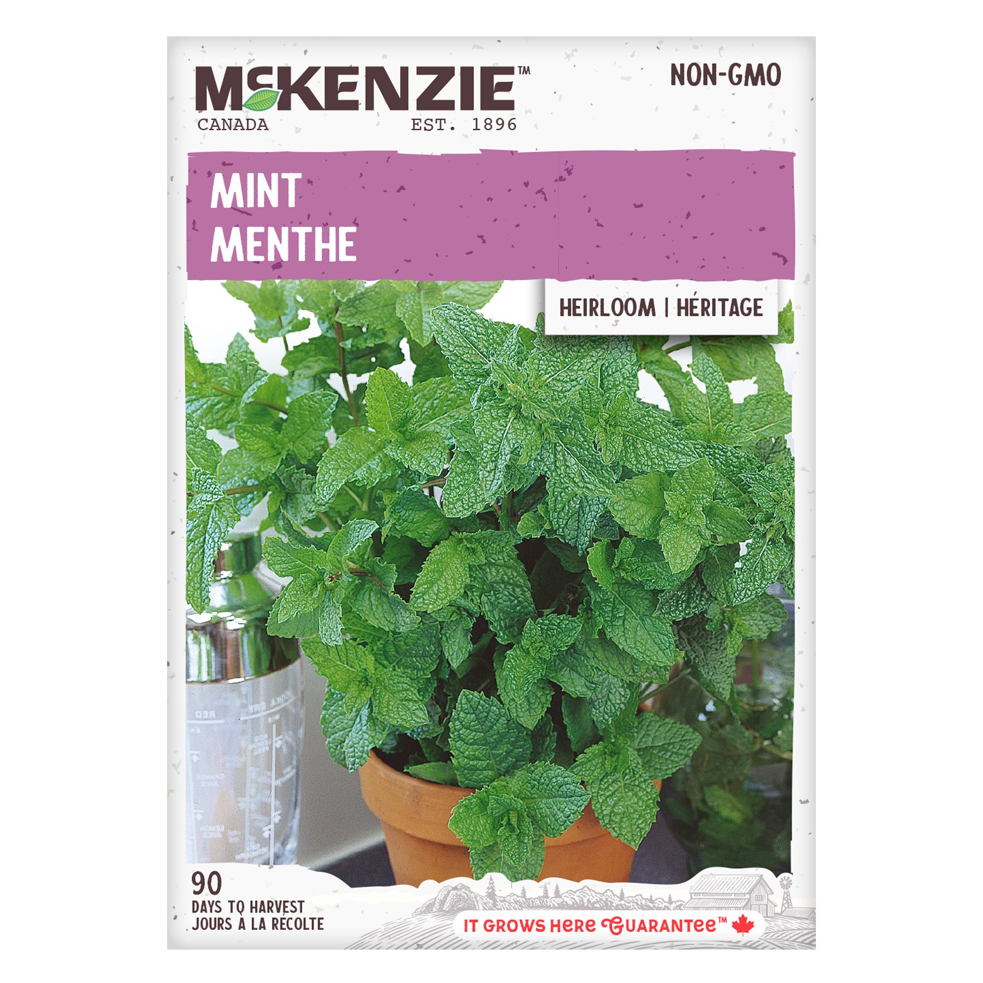 Buy Mint Herb Seed Online | McKenzie Seeds