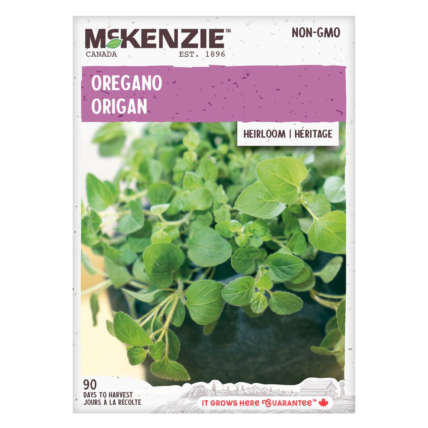 Oregano Seeds