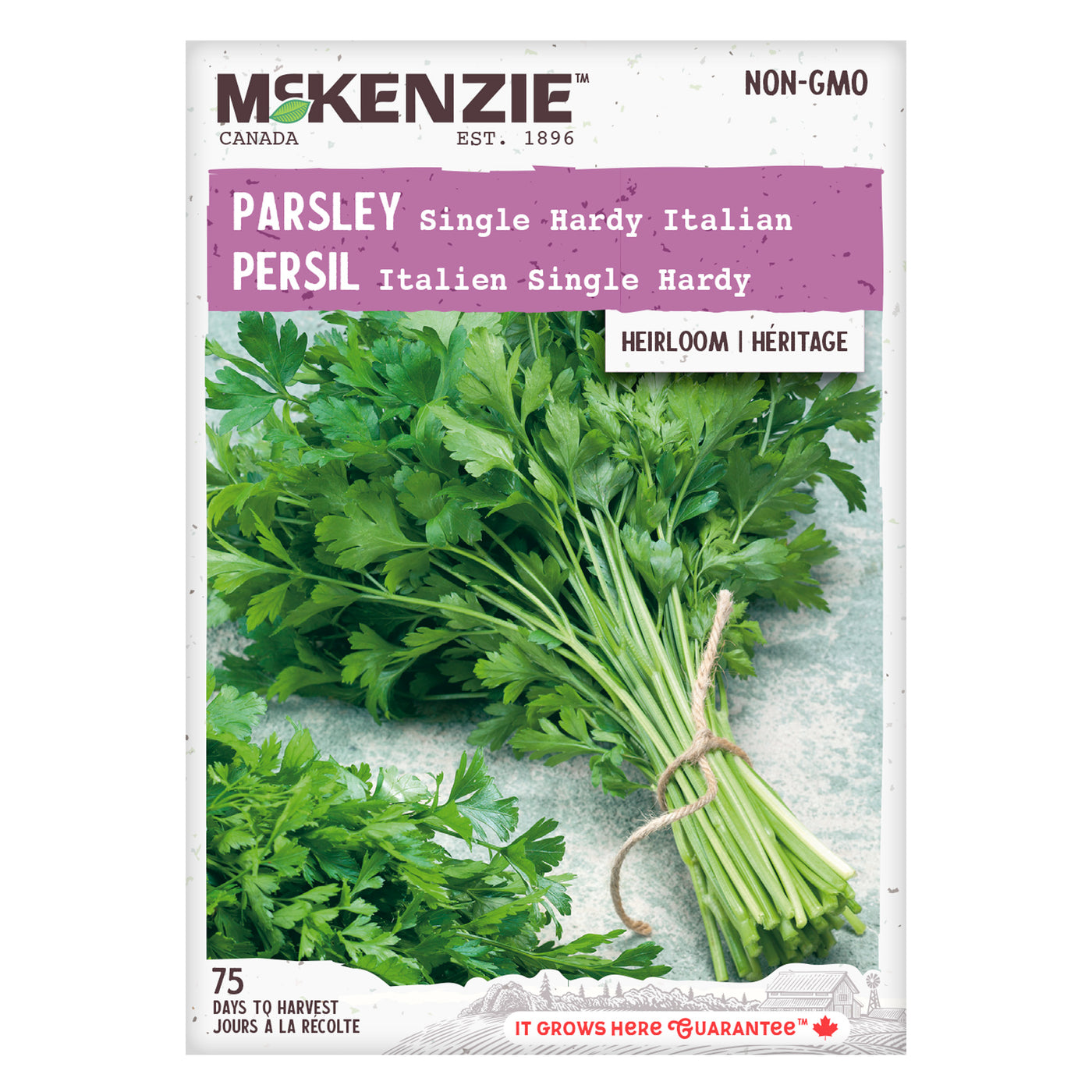 Parsley Seeds, Single Hardy Italian McKenzie Seeds