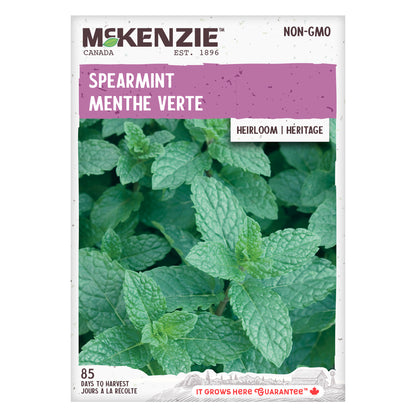 Spearmint Seeds