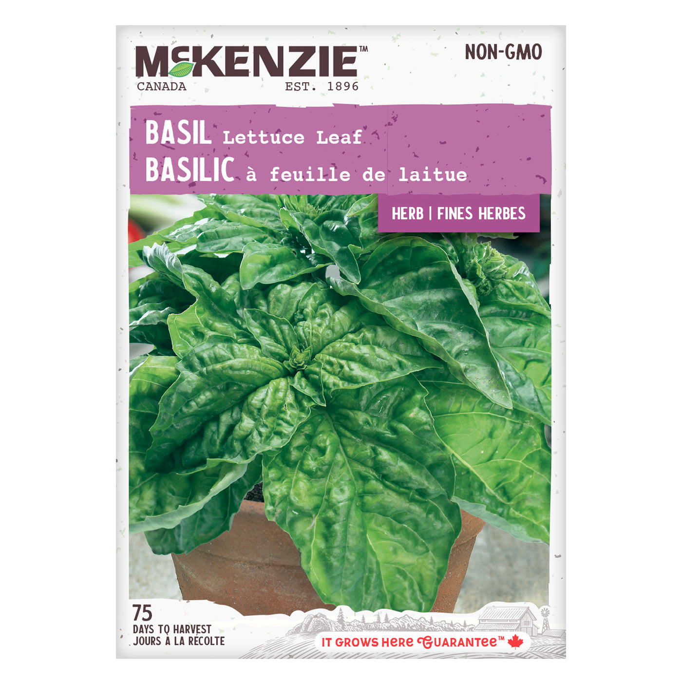 Basil Seeds, Lettuce Leaf McKenzie Seeds
