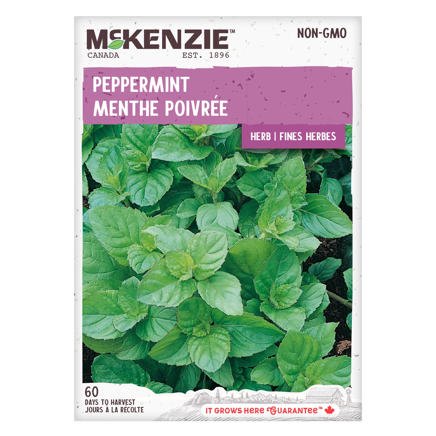Peppermint Seeds