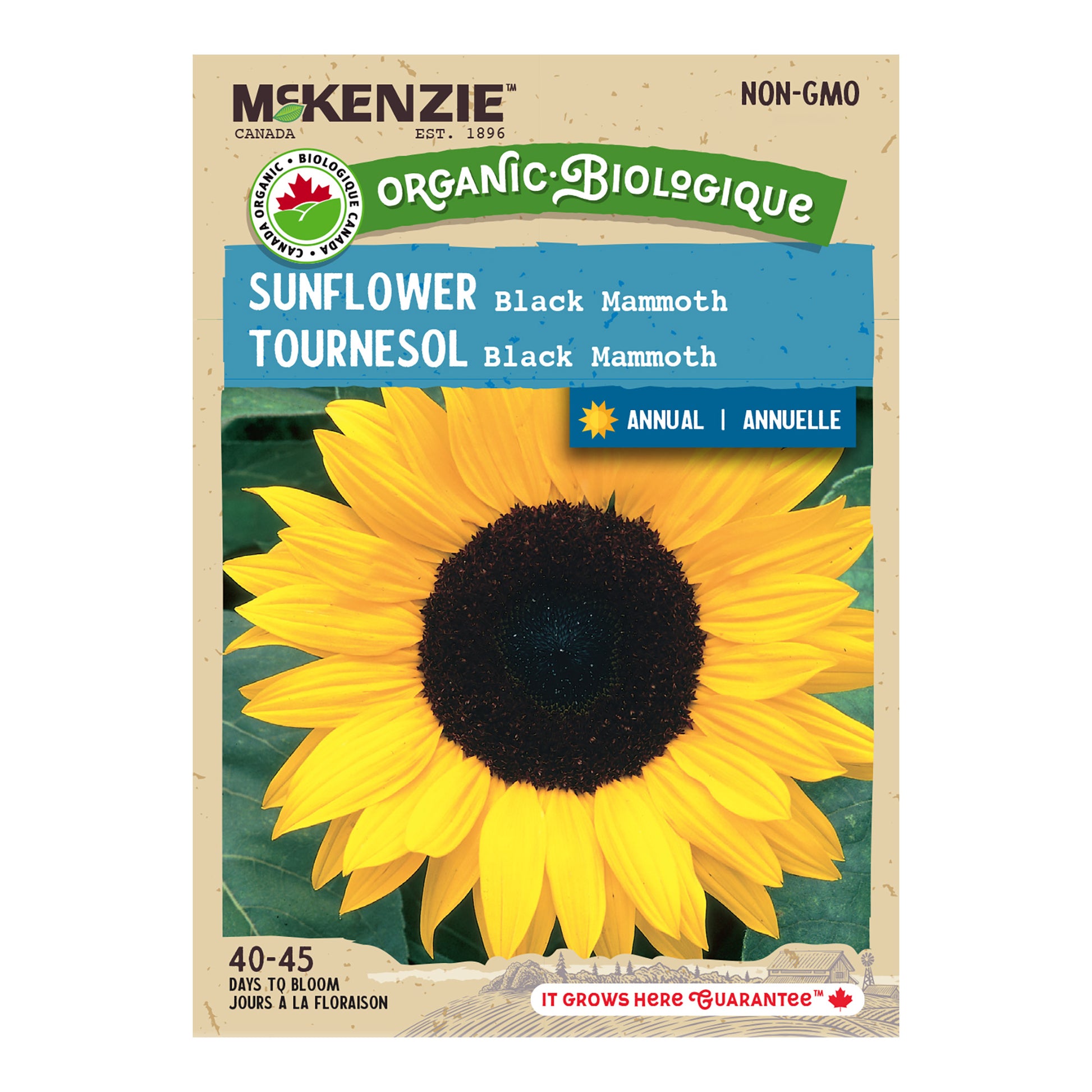 Mckenzie brand sunflower seed packet