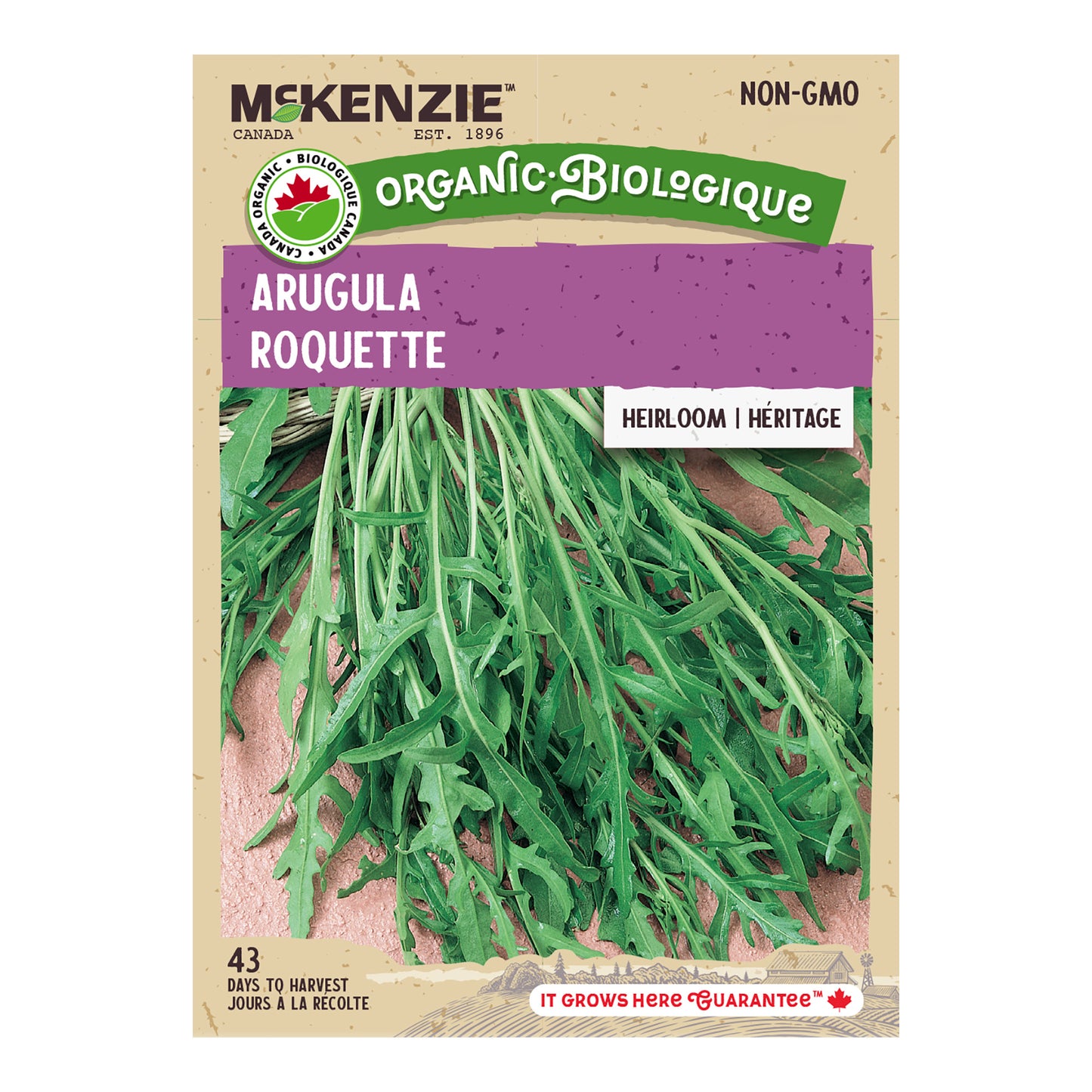 Organic Arugula Seeds, Roquette