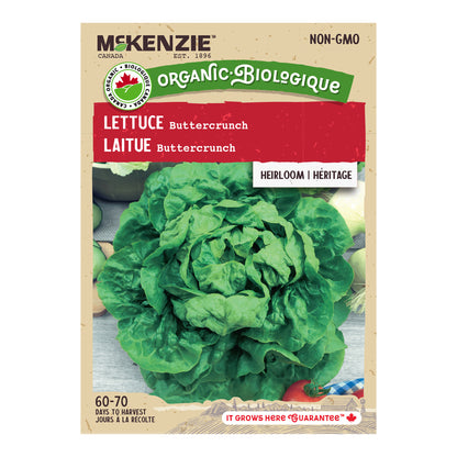 Organic Lettuce Seeds, Buttercrunch