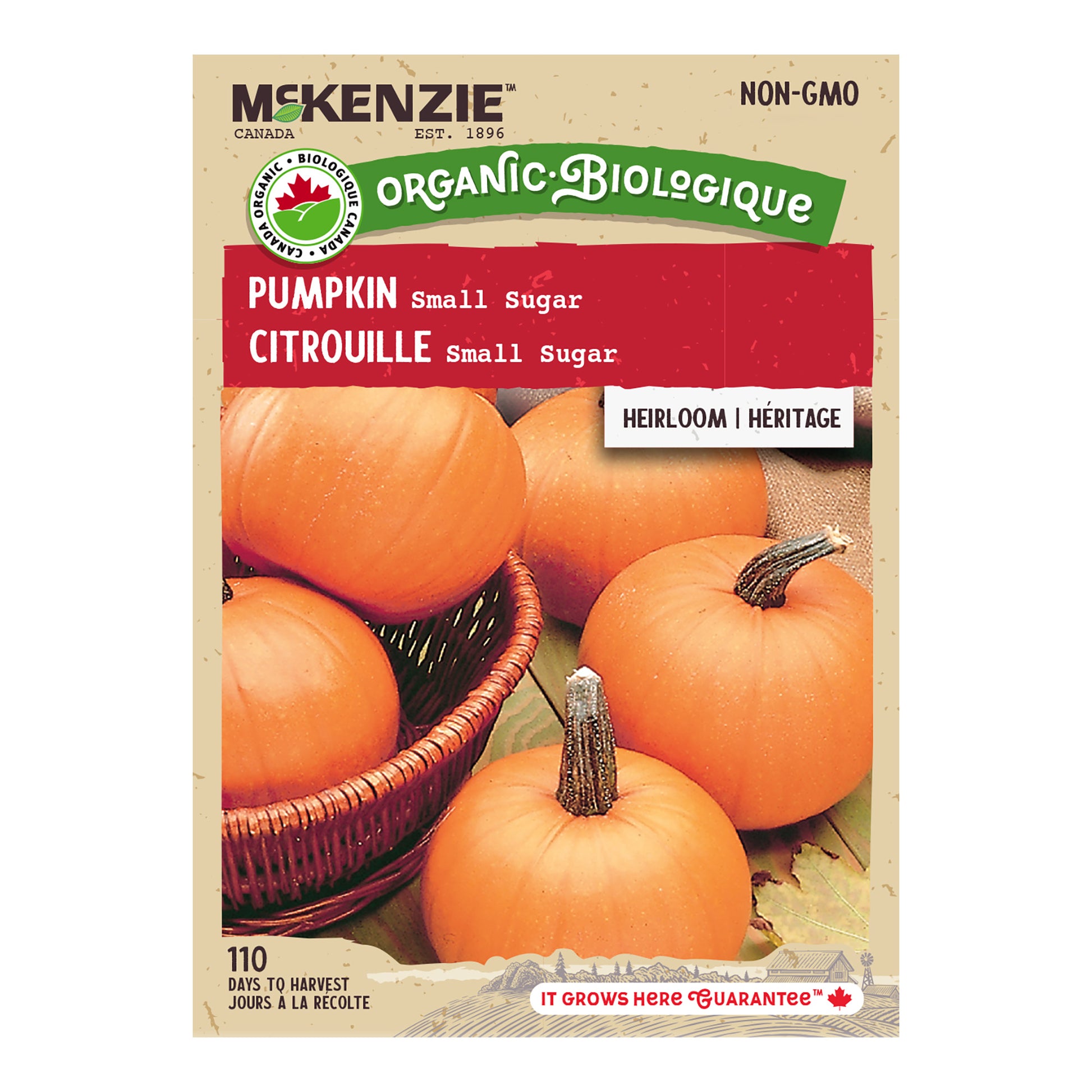 sugar pumpkin seeds for planting Buy Organic Pumpkin Small Sugar Vegetable Seed Online
