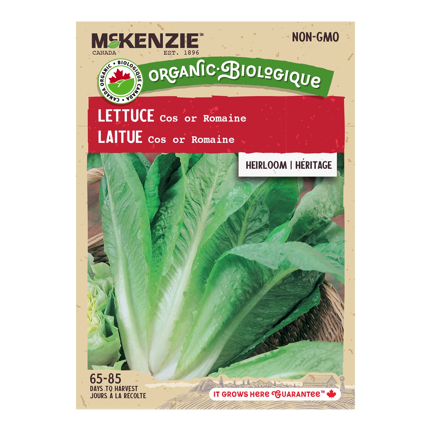 Organic Lettuce Seeds, Romaine