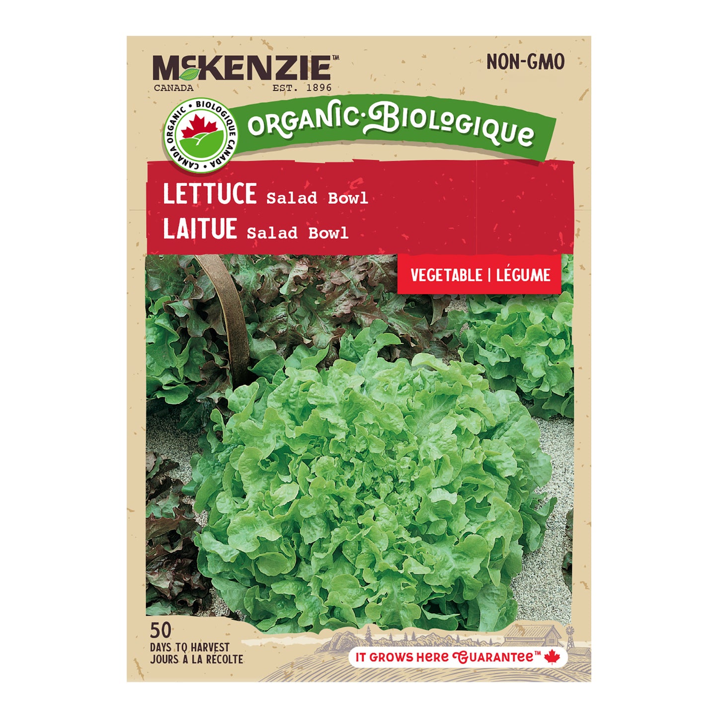 Organic Lettuce Seeds, Salad Bowl