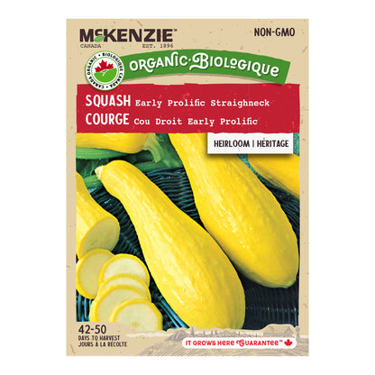Mckenzie brand squash seed packet