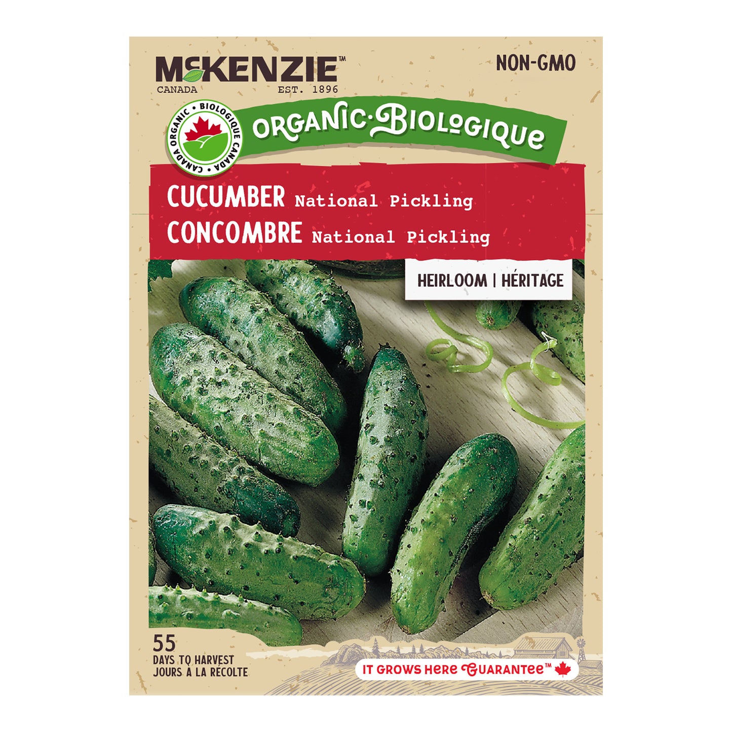 Organic Cucumber Seeds, National Pickling