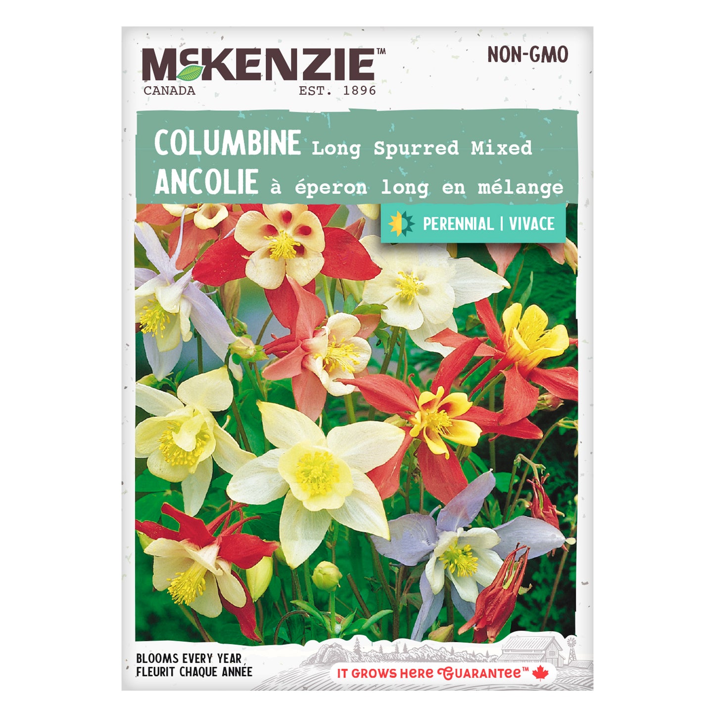 Columbine Seeds, Long Spurred Mix