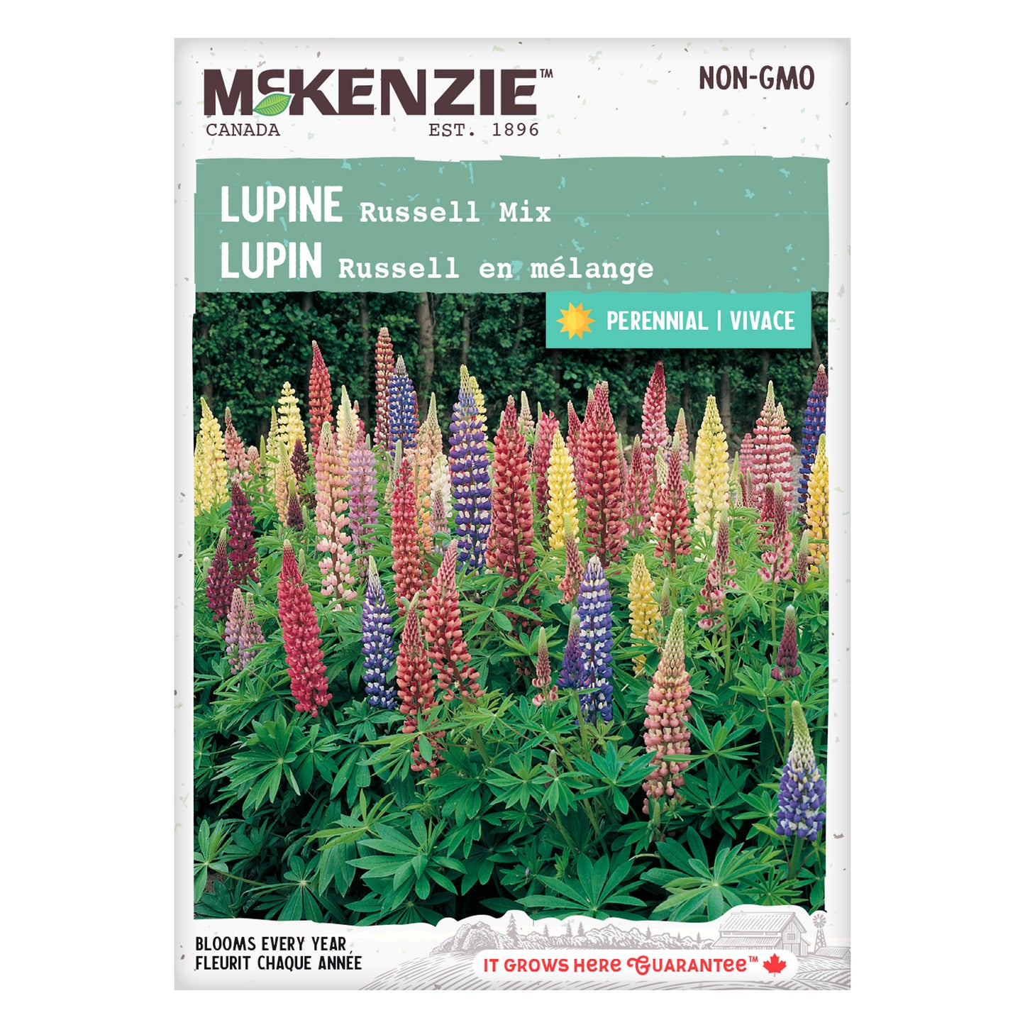 Lupine Seeds, Russell’s Mix Hybrid