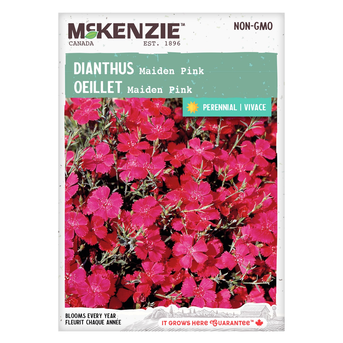 Front of McKenzie Seeds Dianthus seed packet showing brand logo