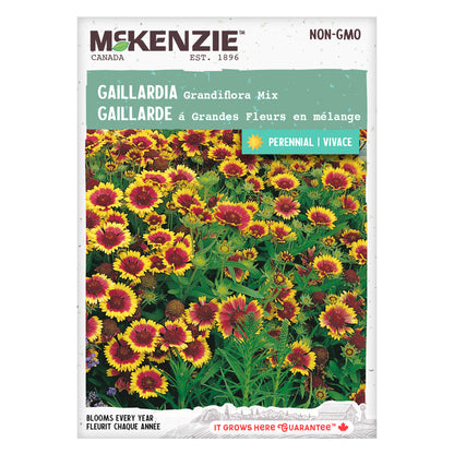 Gaillardia Aristata, Grandiflora Mix Seeds