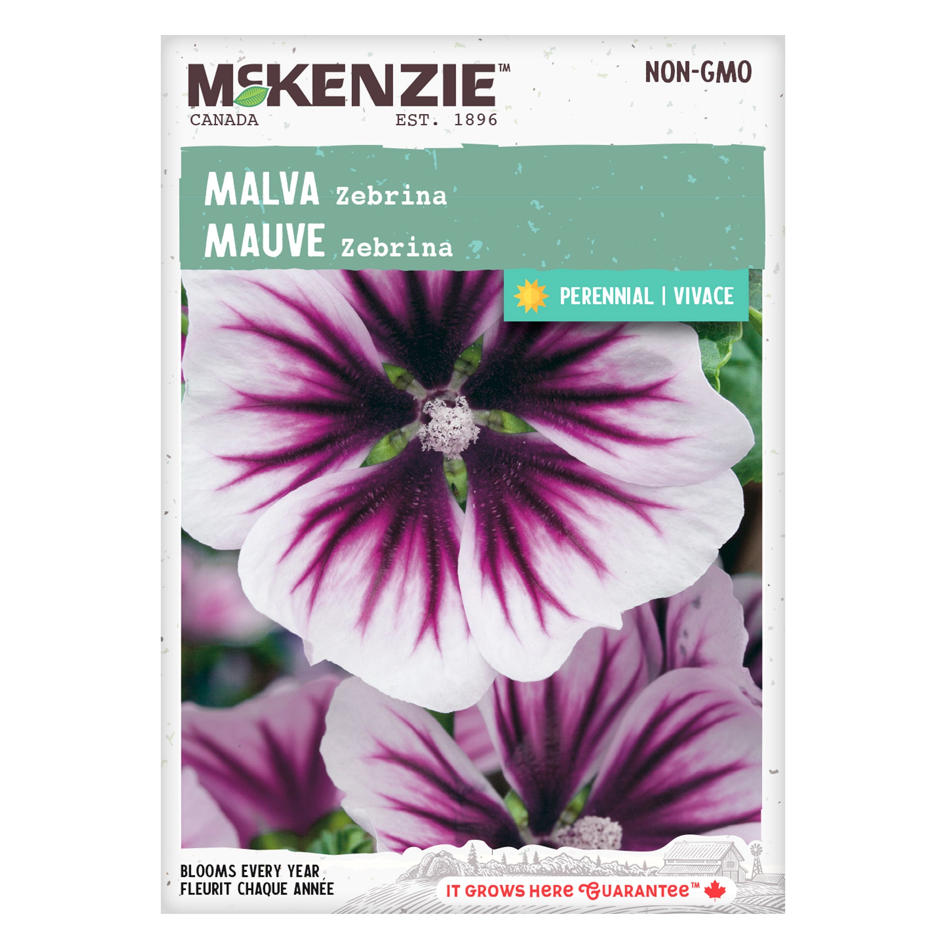 Front of McKenzie Seeds Malva seed packet showing brand logo