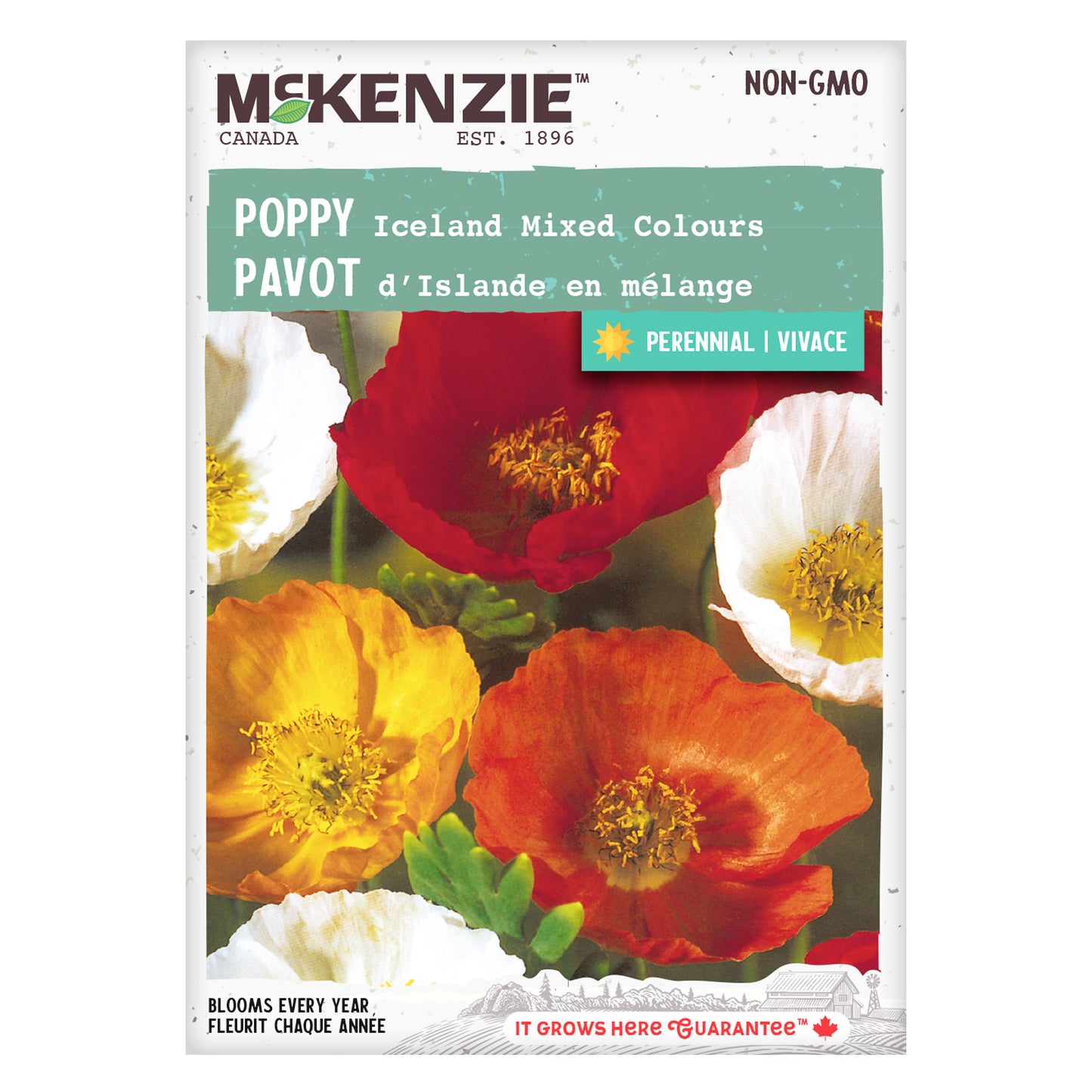 Poppy, Iceland Mixed Colours Seeds