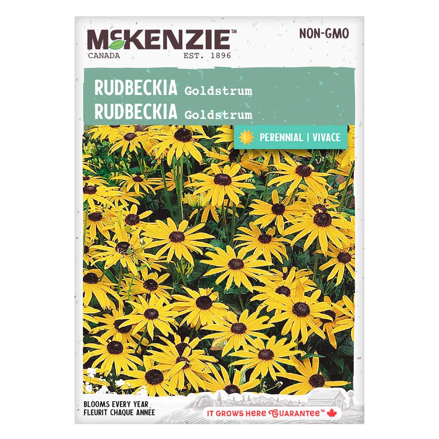 Mckenzie brand rudbeckia seed packet