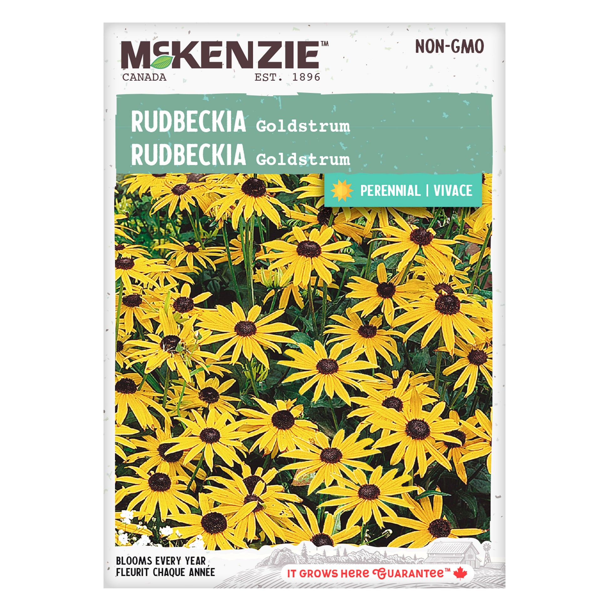 Mckenzie brand rudbeckia seed packet