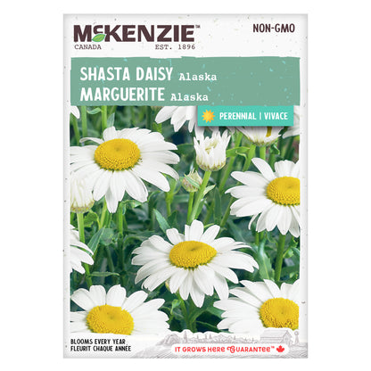 Mckenzie brand shasta daisy seed packet