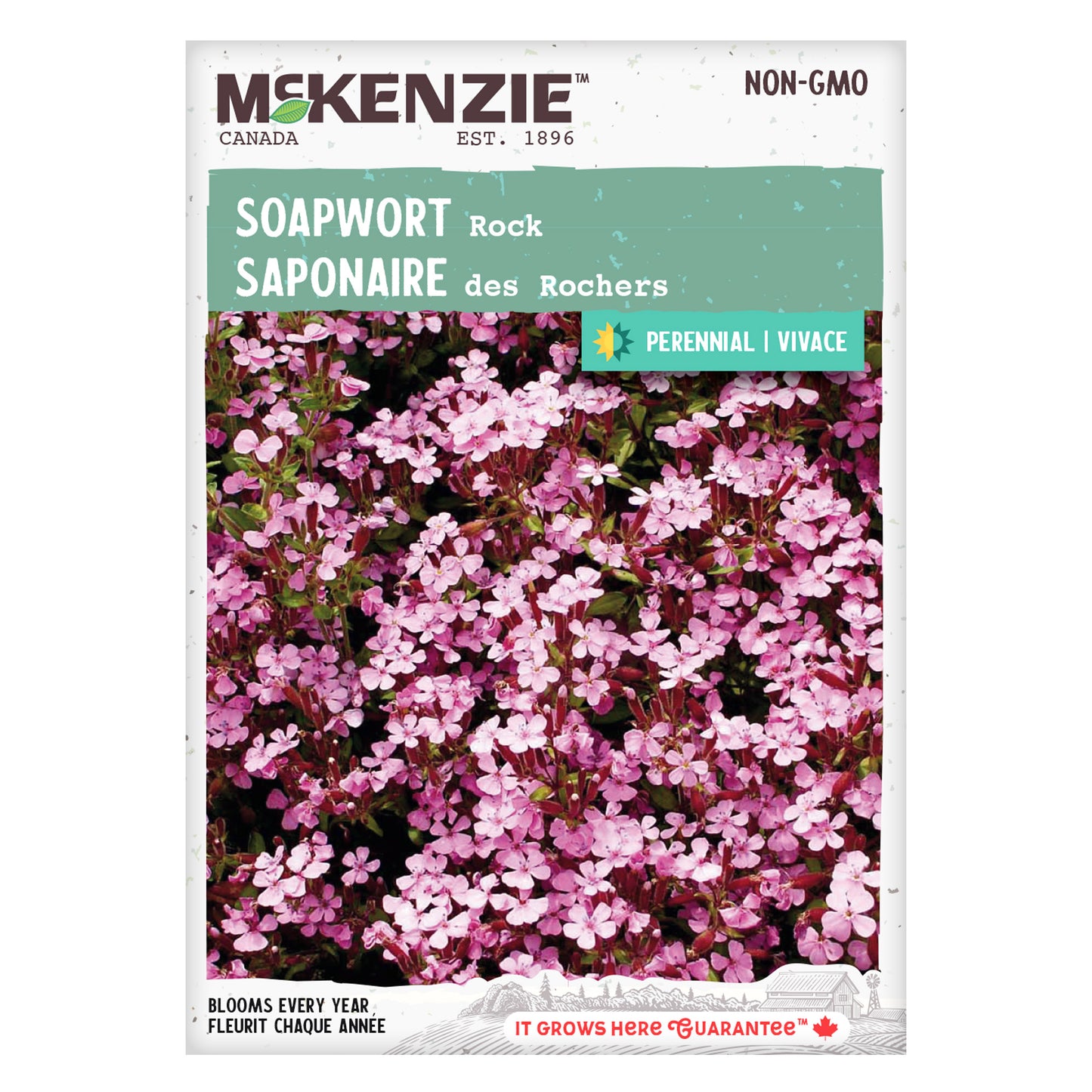 Mckenzie brand soapwort seed packet