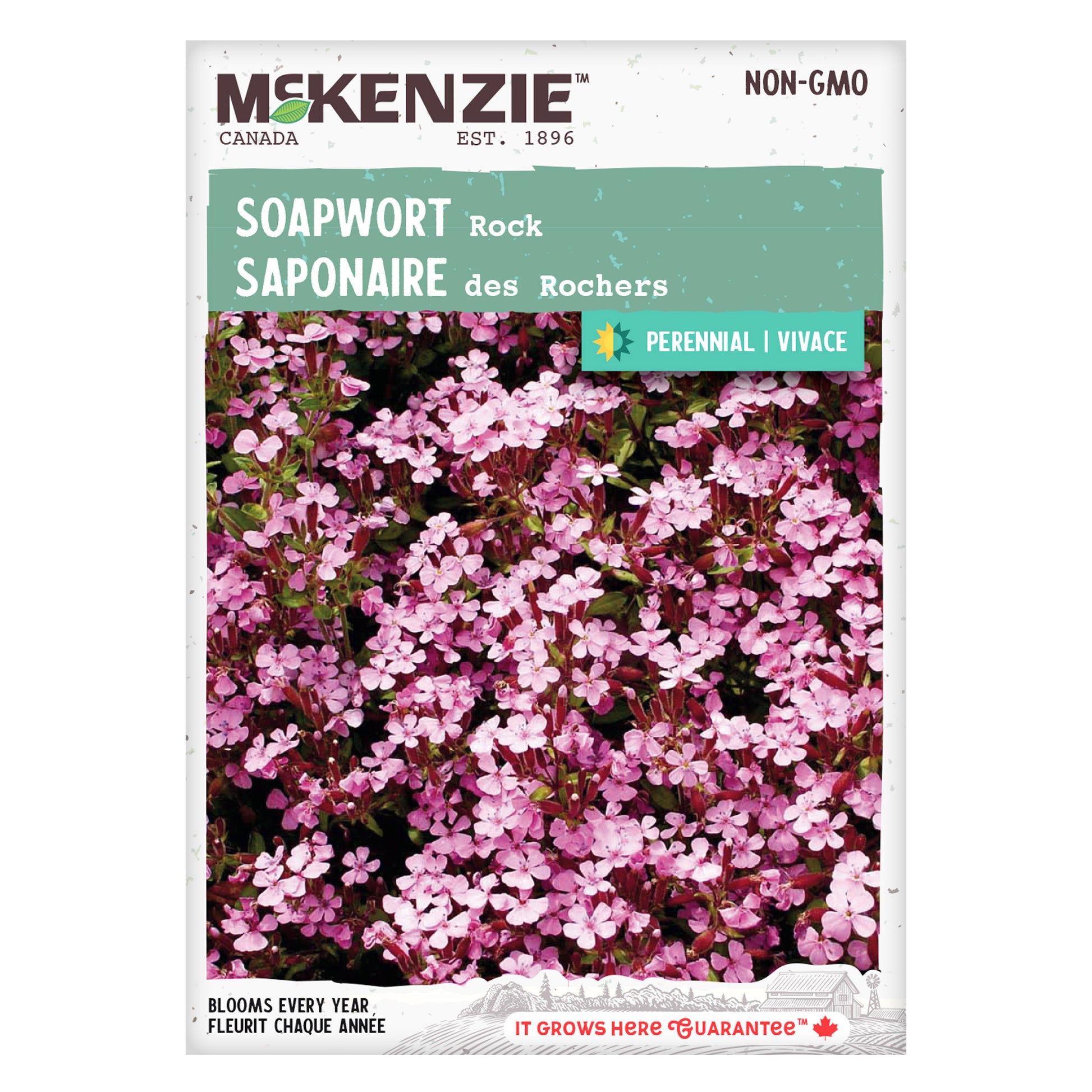 Mckenzie brand soapwort seed packet