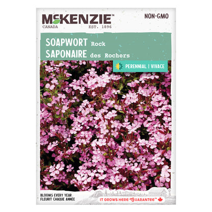 Mckenzie brand soapwort seed packet