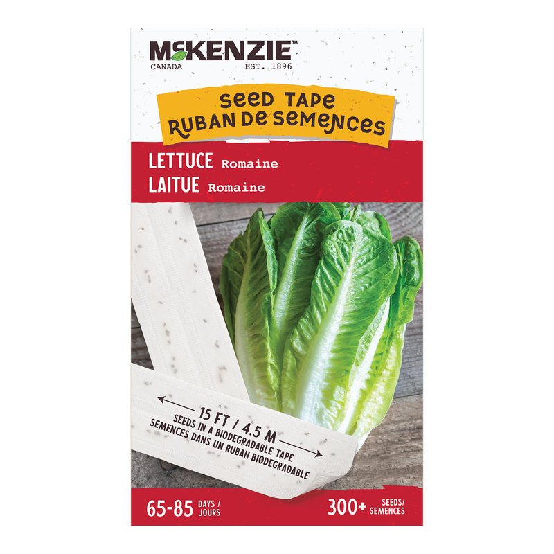 Lettuce Seed Tape, Romaine McKenzie Seeds