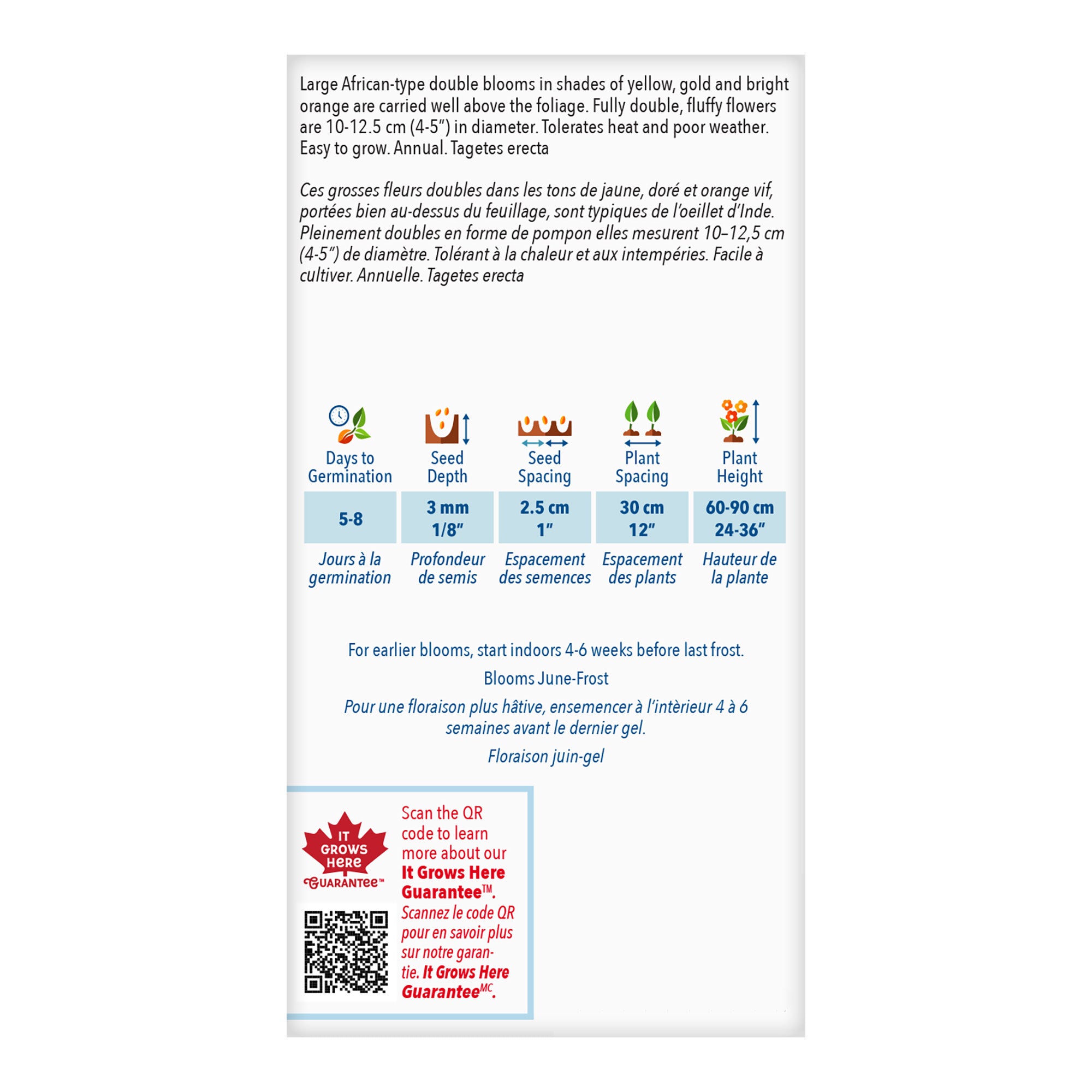 Buy Crackerjack Marigold Value Pack Seed Online McKenzie Seeds